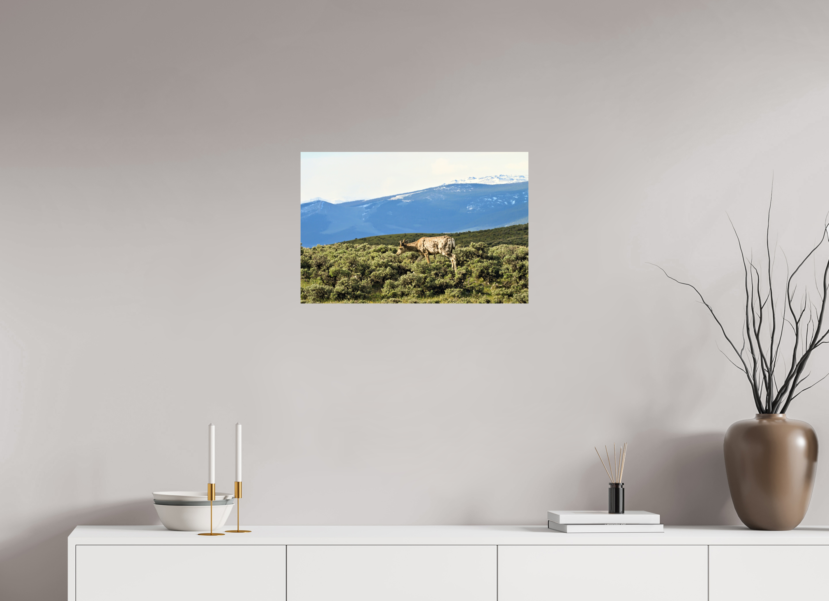 24 x 16″, PHOTO PAPER Deer