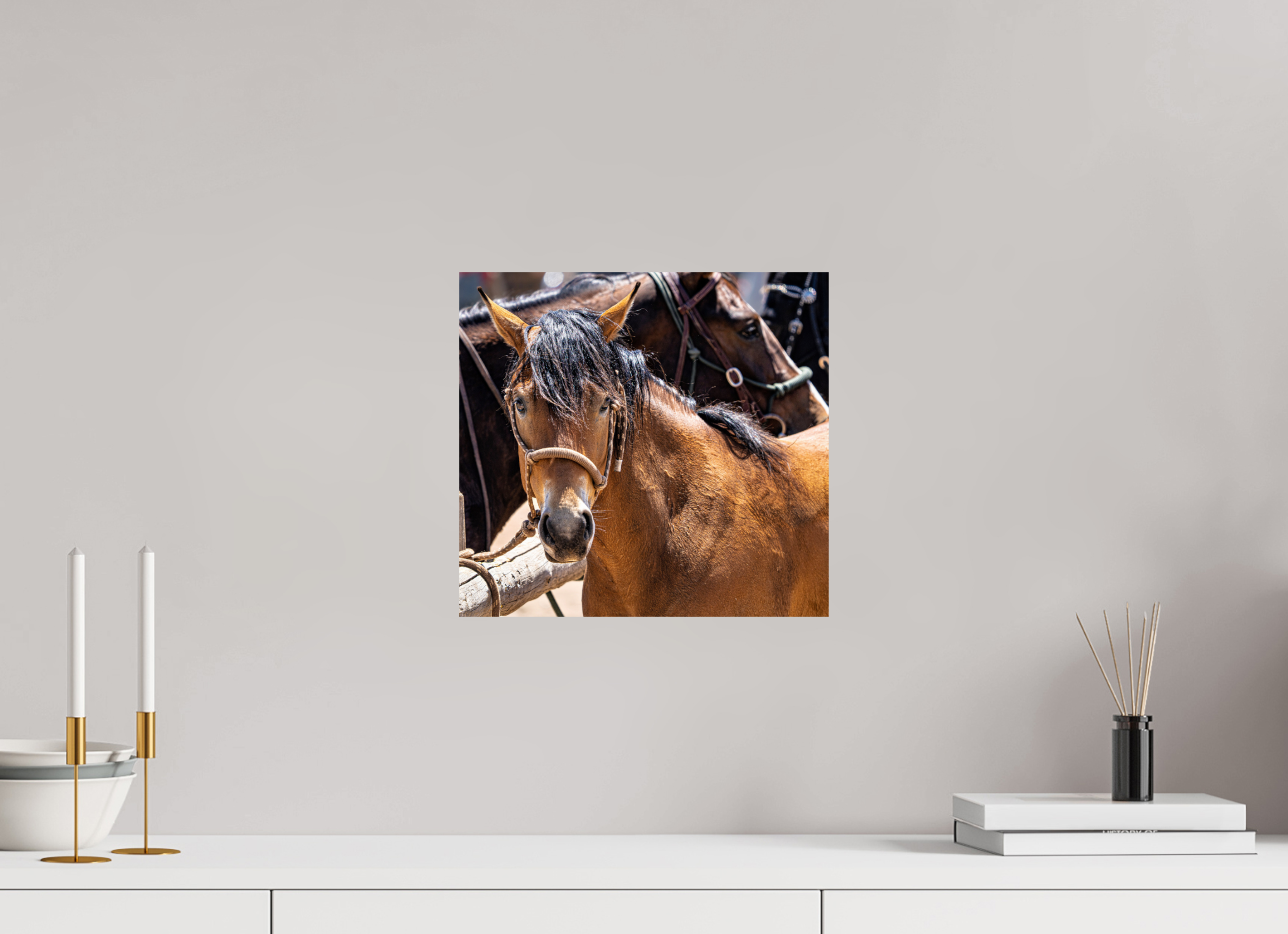 12.9 x 12″, PHOTO PAPER Pack Horse Portrait 6