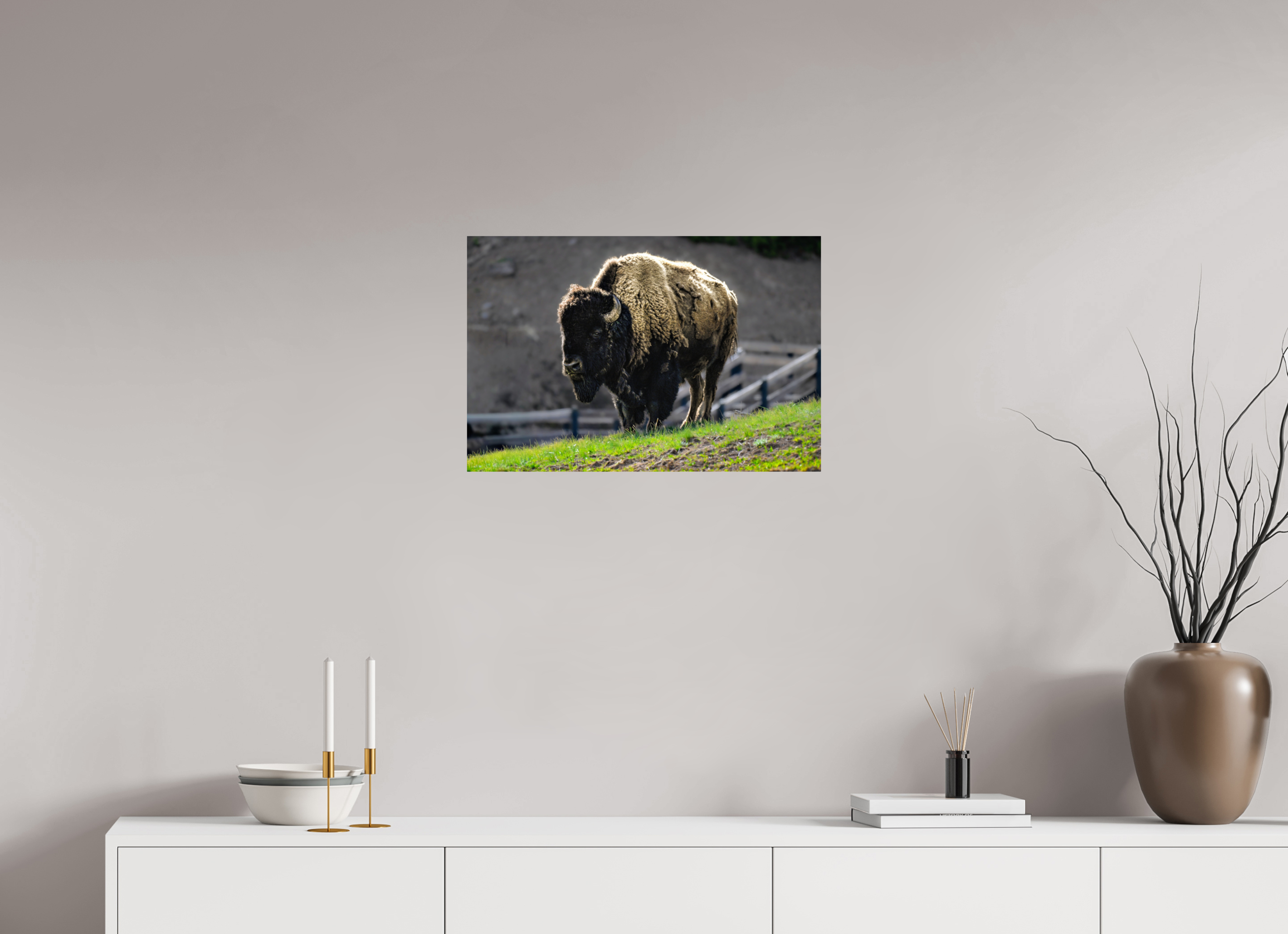 24 x 16″, PHOTO PAPER Bison