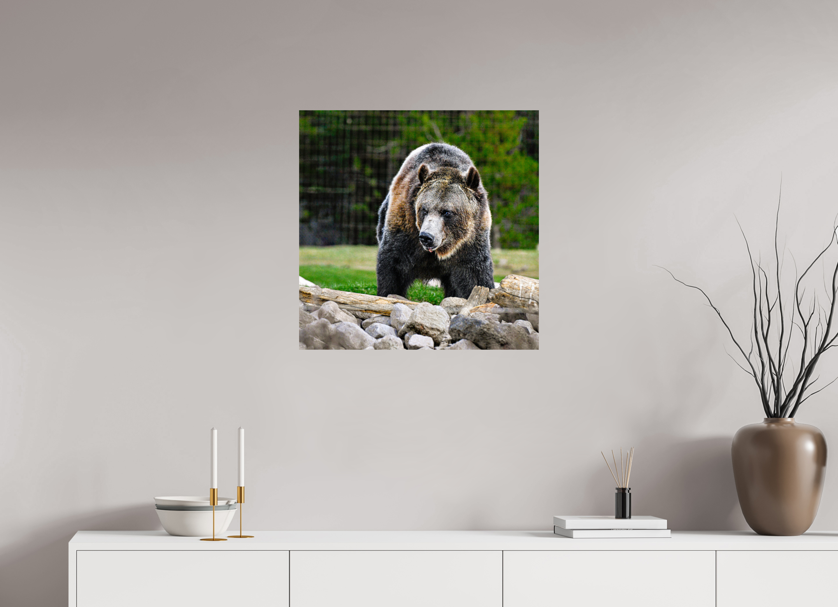 25 x 25″, PHOTO PAPER Bear