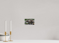 6.5 x 4″, PHOTO PAPER Bear
