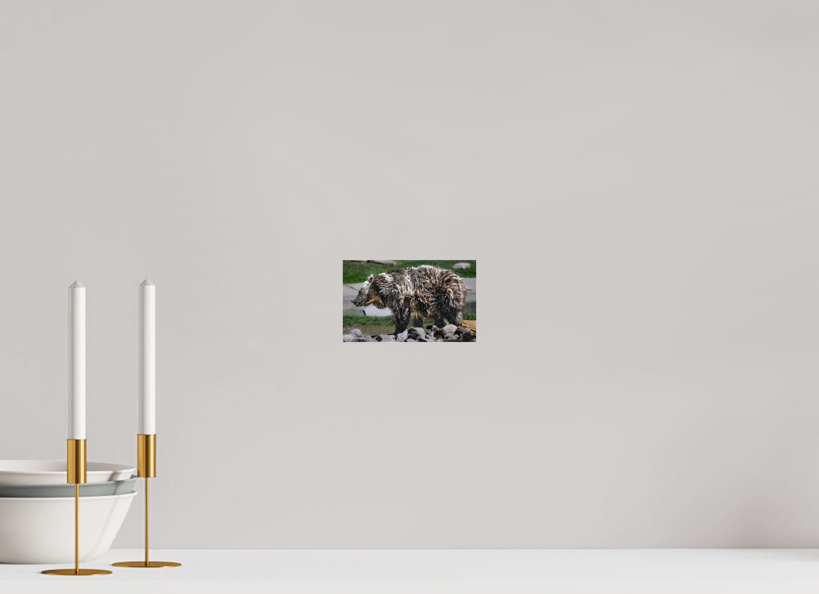 6.5 x 4″, PHOTO PAPER Bear