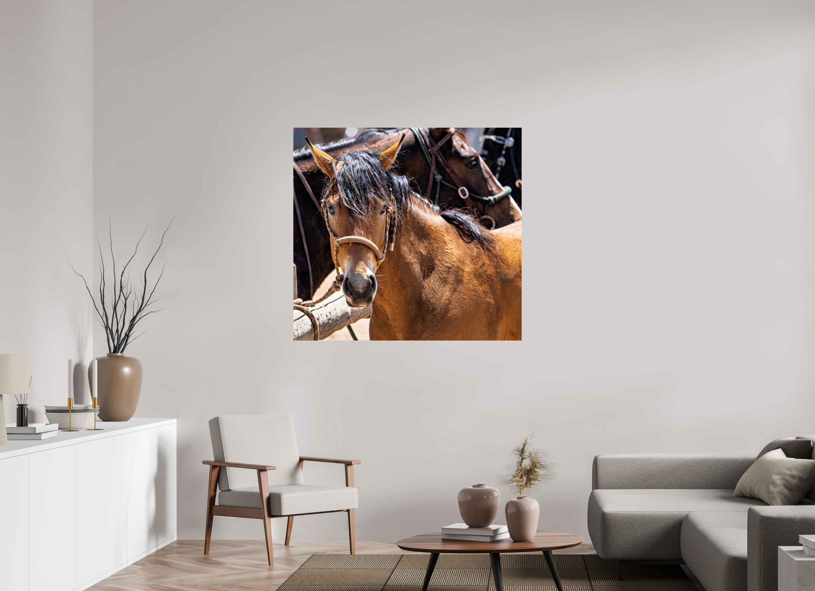 46.1 x 43″, PHOTO PAPER Pack Horse Portrait 6