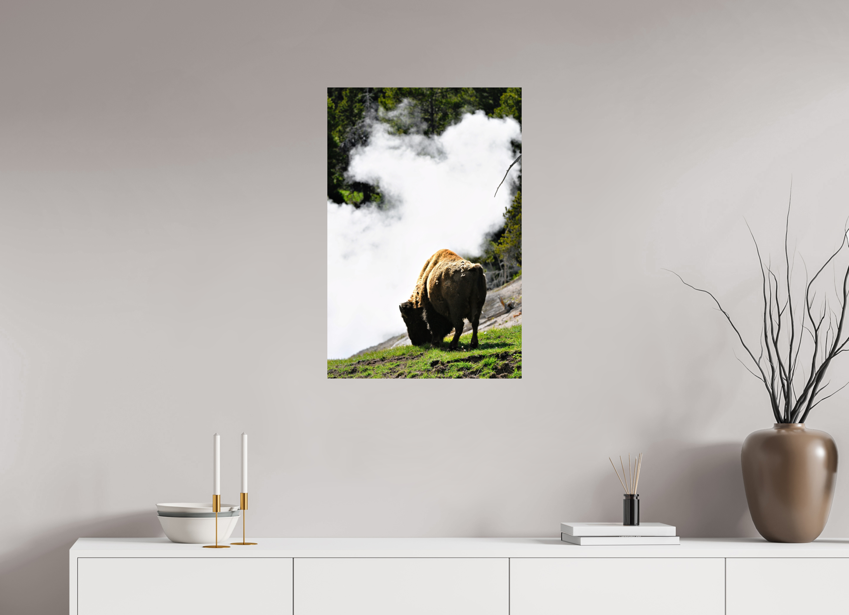 20 x 30″, PHOTO PAPER Bison Grazing