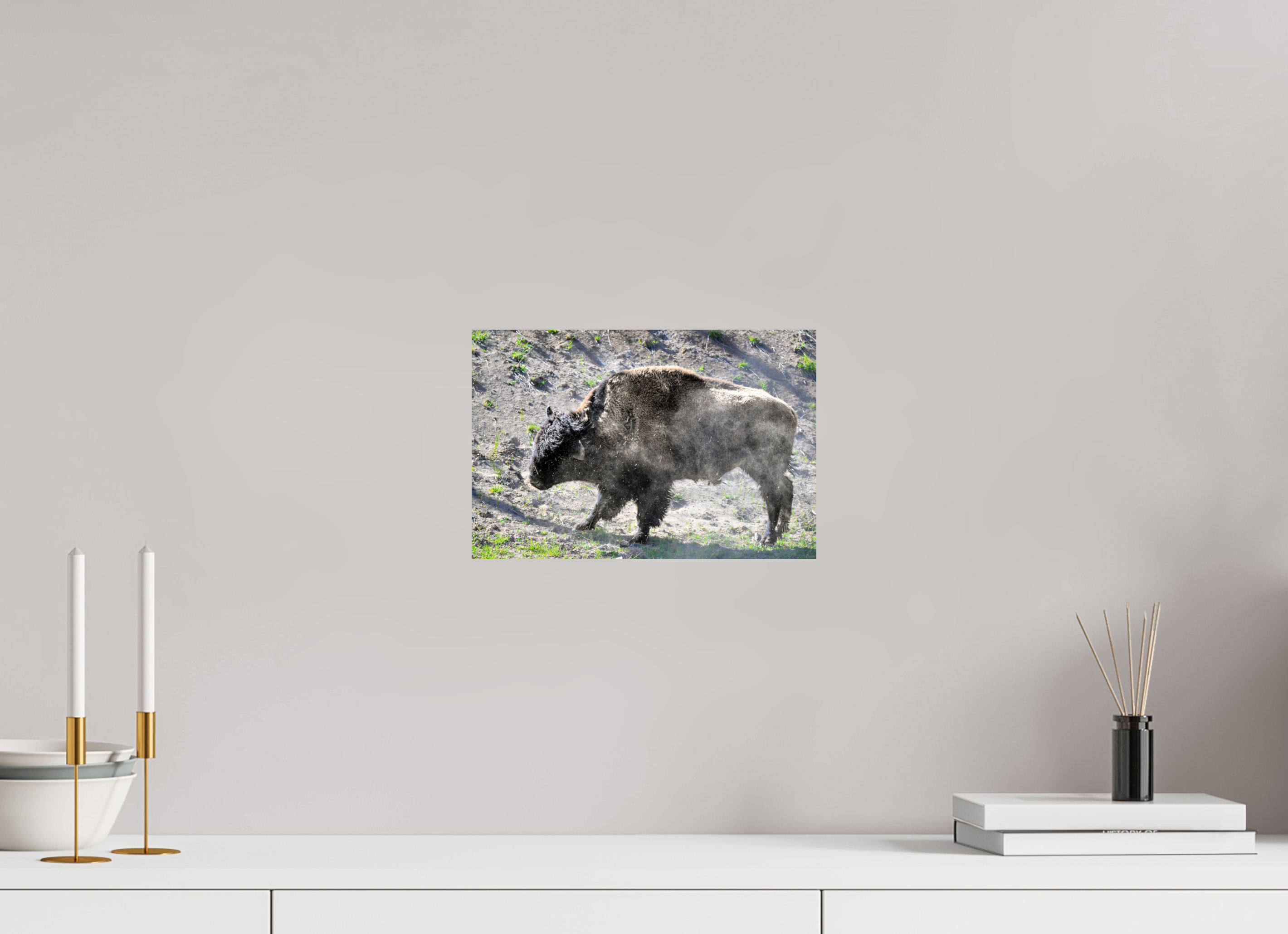 12 x 8″, PHOTO PAPER Bison Shake