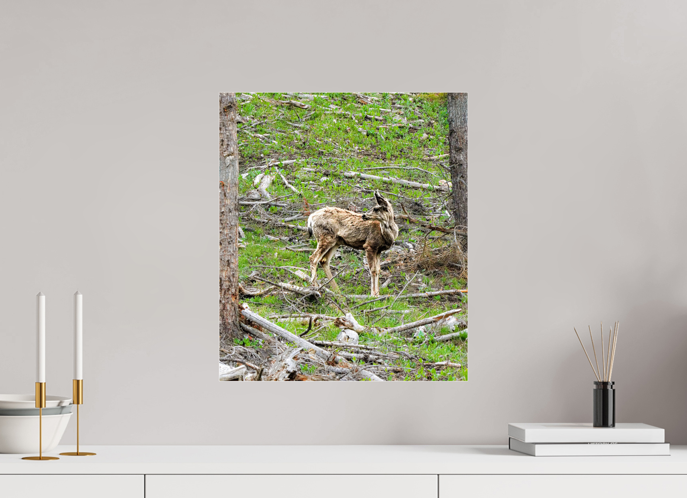 16 x 18.6″, ACRYLIC Deer