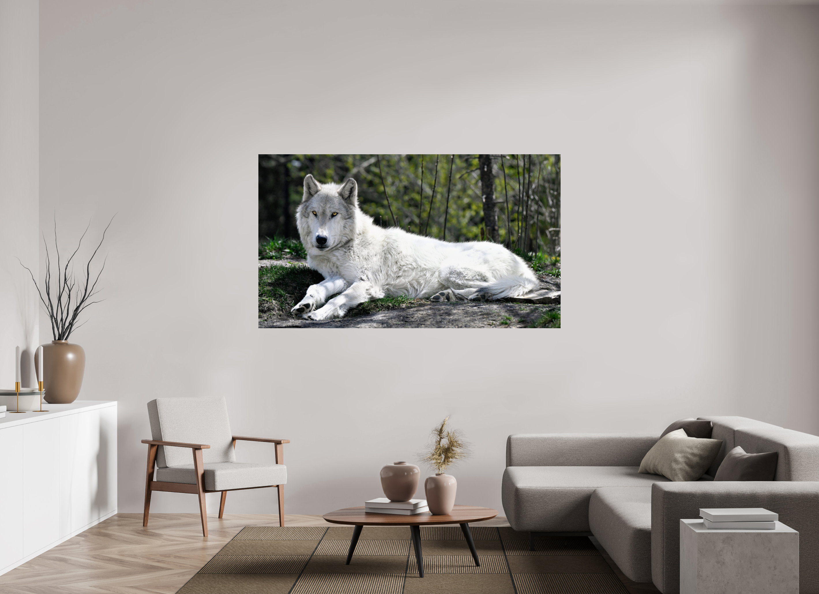 74.7 x 43″, PHOTO PAPER Wolf Laying Down