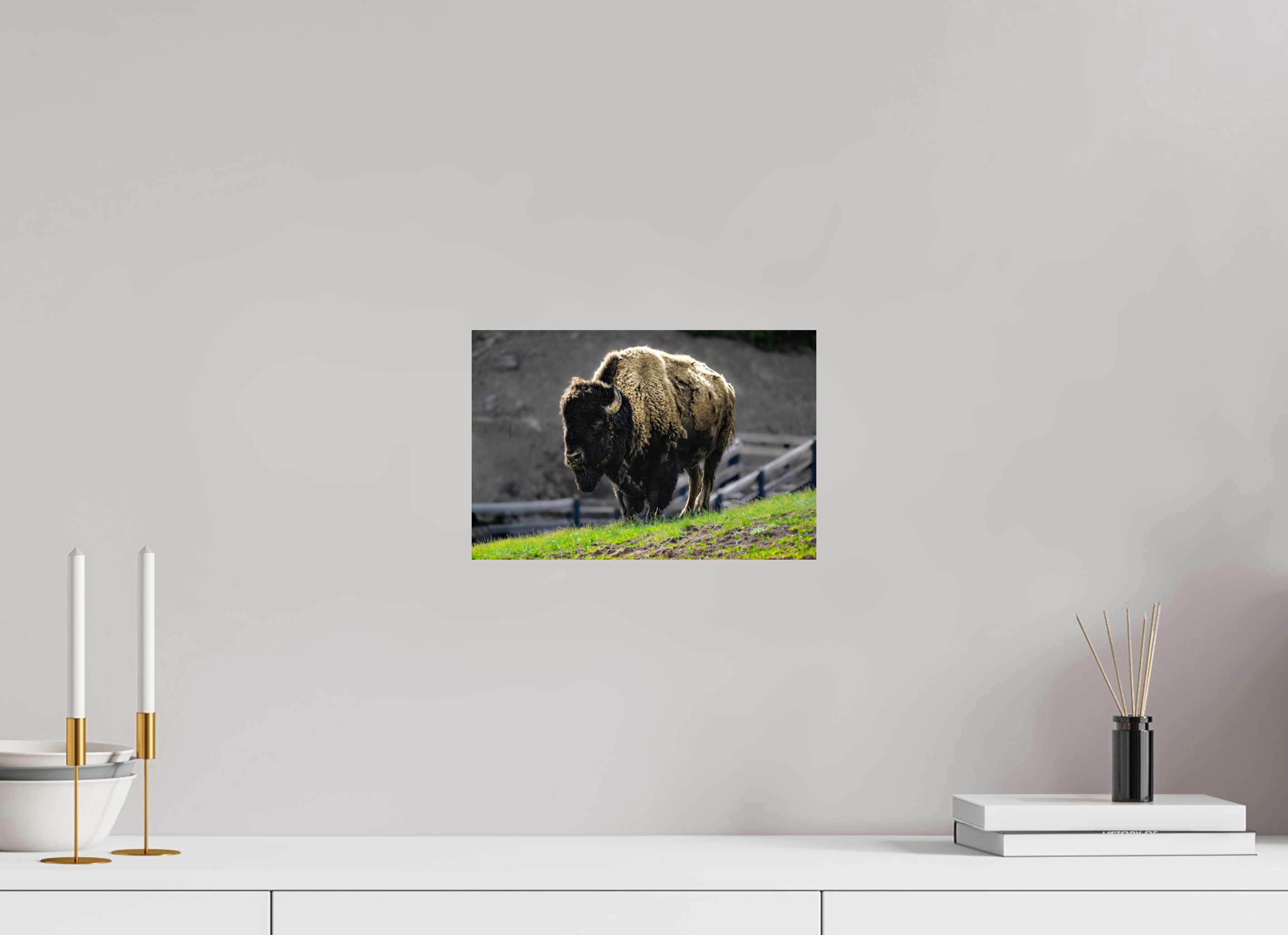 12 x 8″, PHOTO PAPER Bison