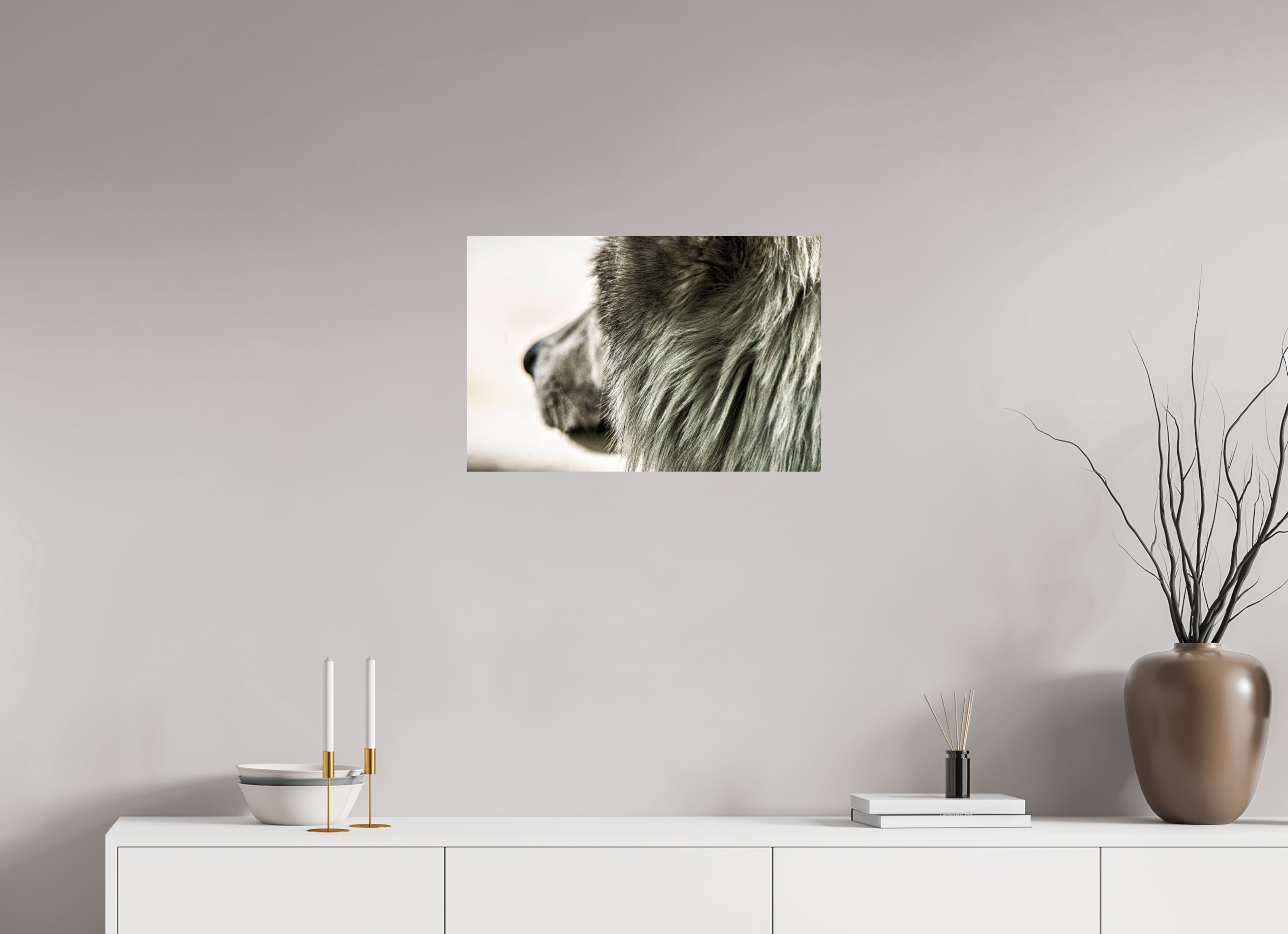 24 x 16″, PHOTO PAPER Wolf
