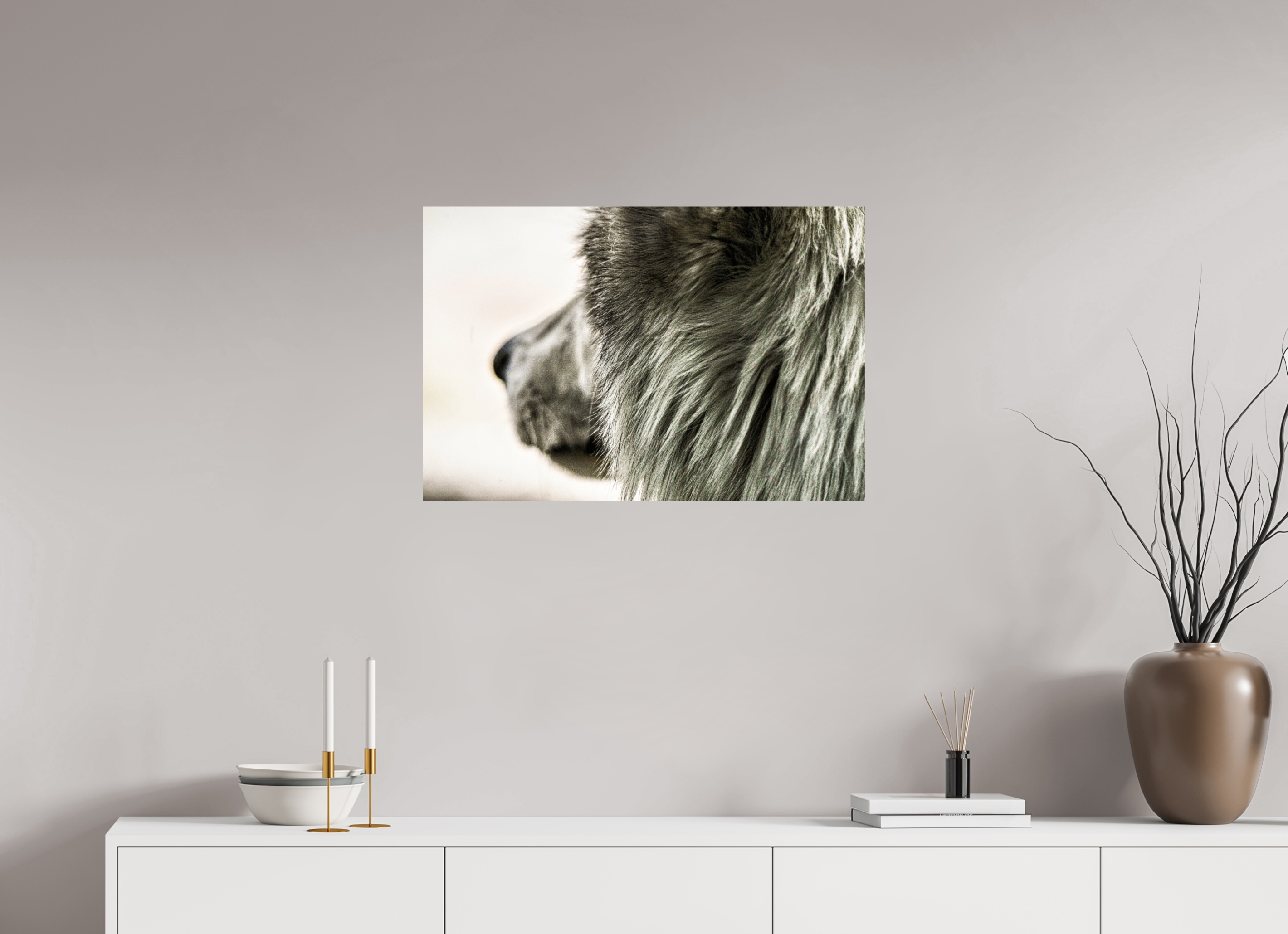 30 x 20″, PHOTO PAPER Wolf