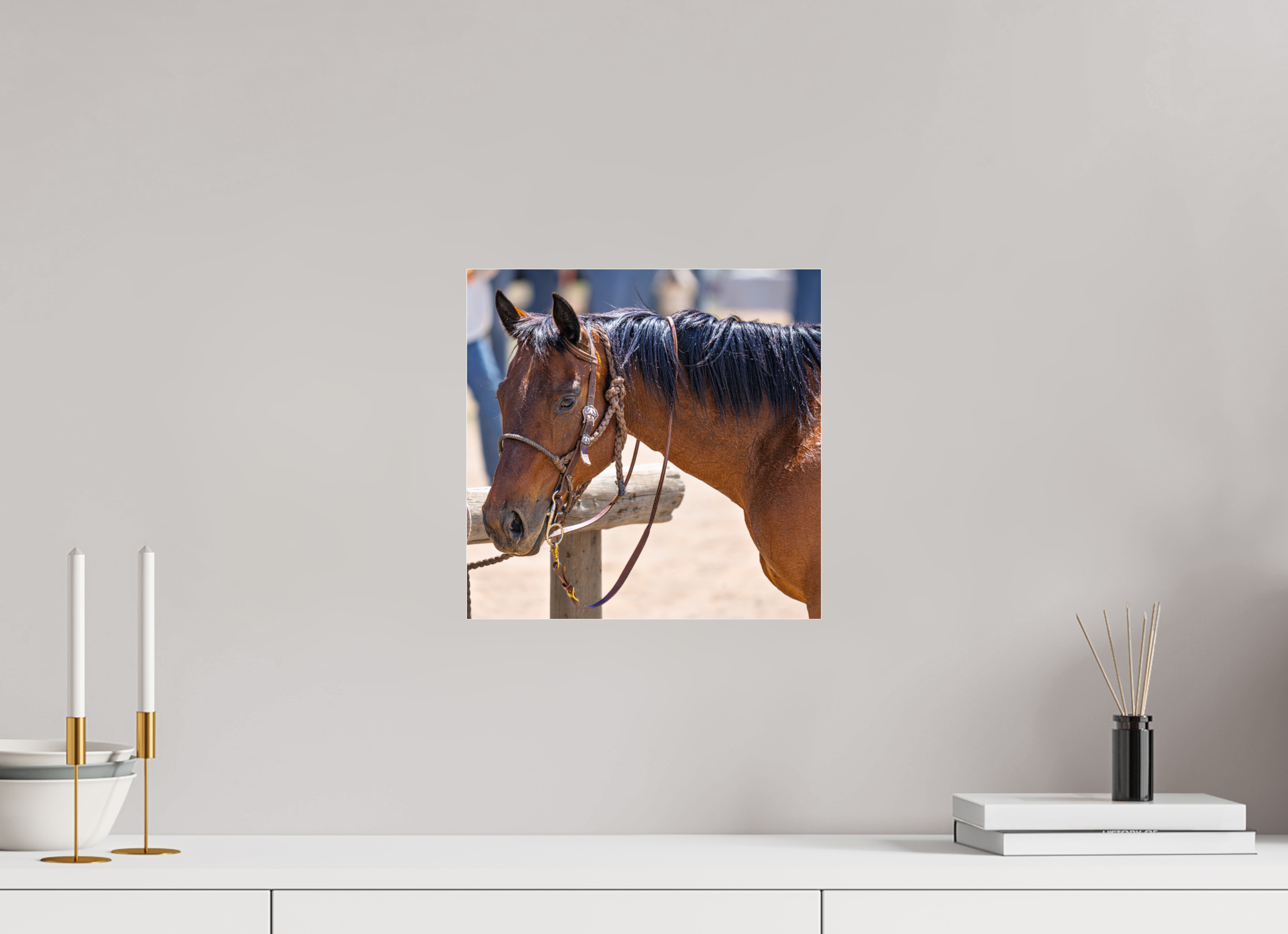 12.2 x 12″, ACRYLIC Pack Horse Portrait 15 Web Exclusive