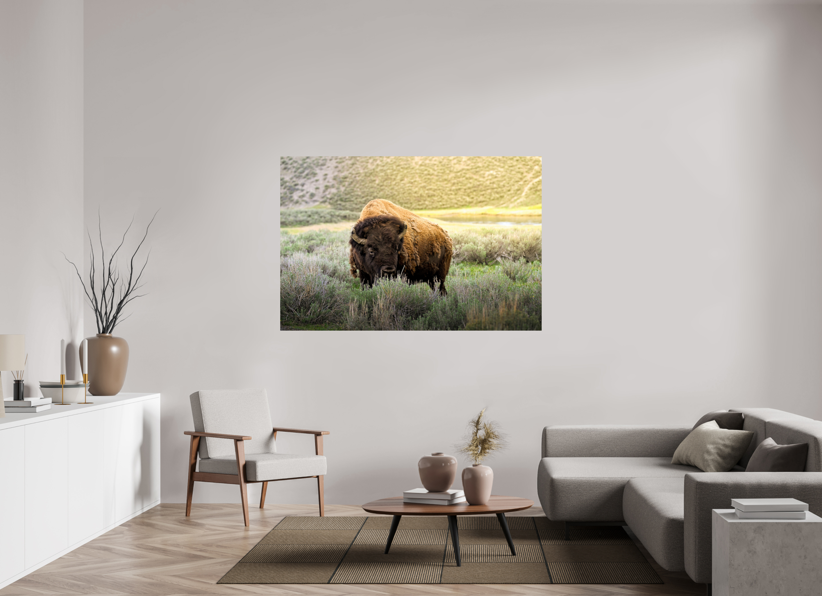 66 x 44″, PHOTO PAPER Bison in the Sunlight