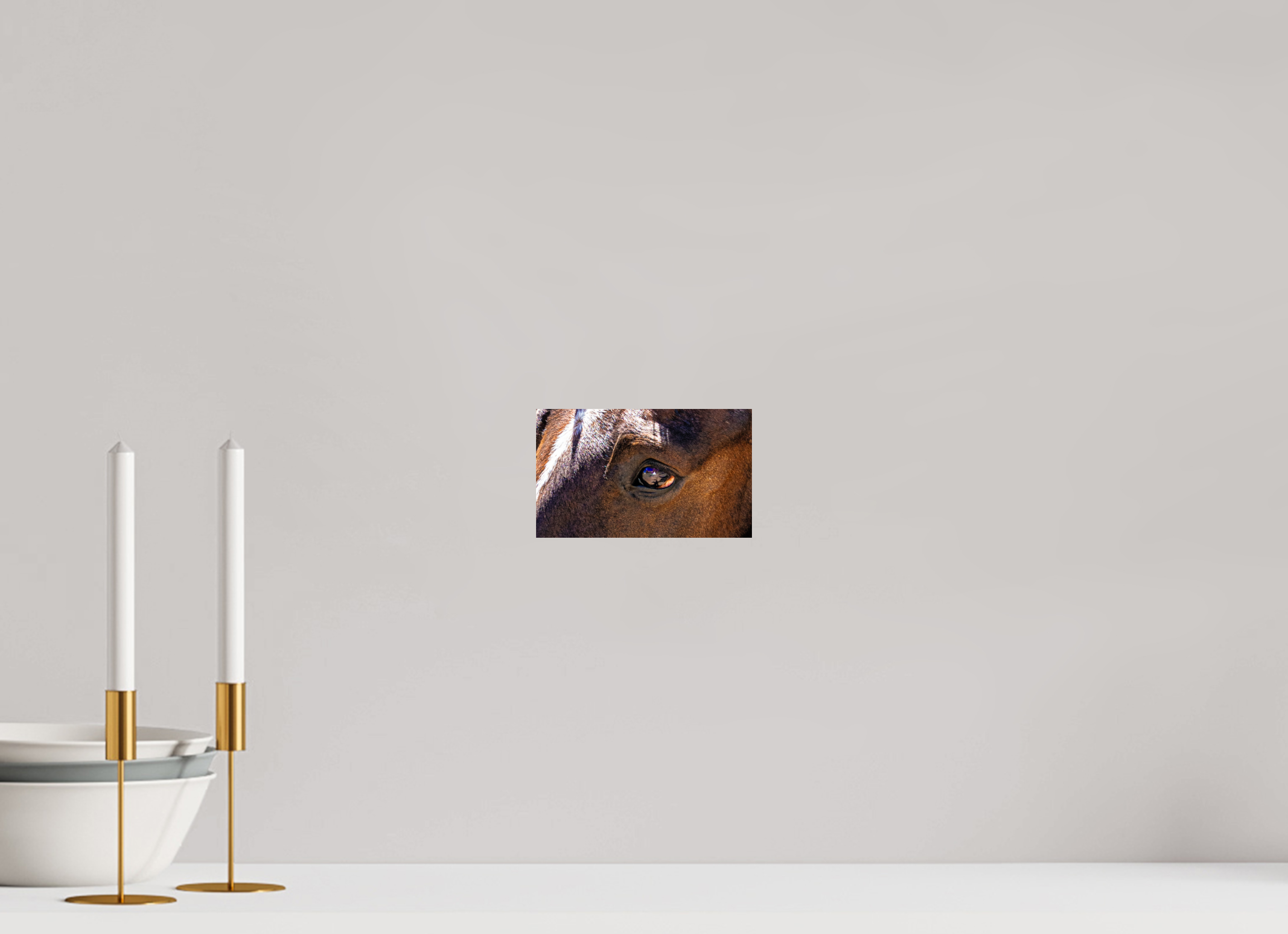 6.7 x 4″, PHOTO PAPER Pack Horse Eye