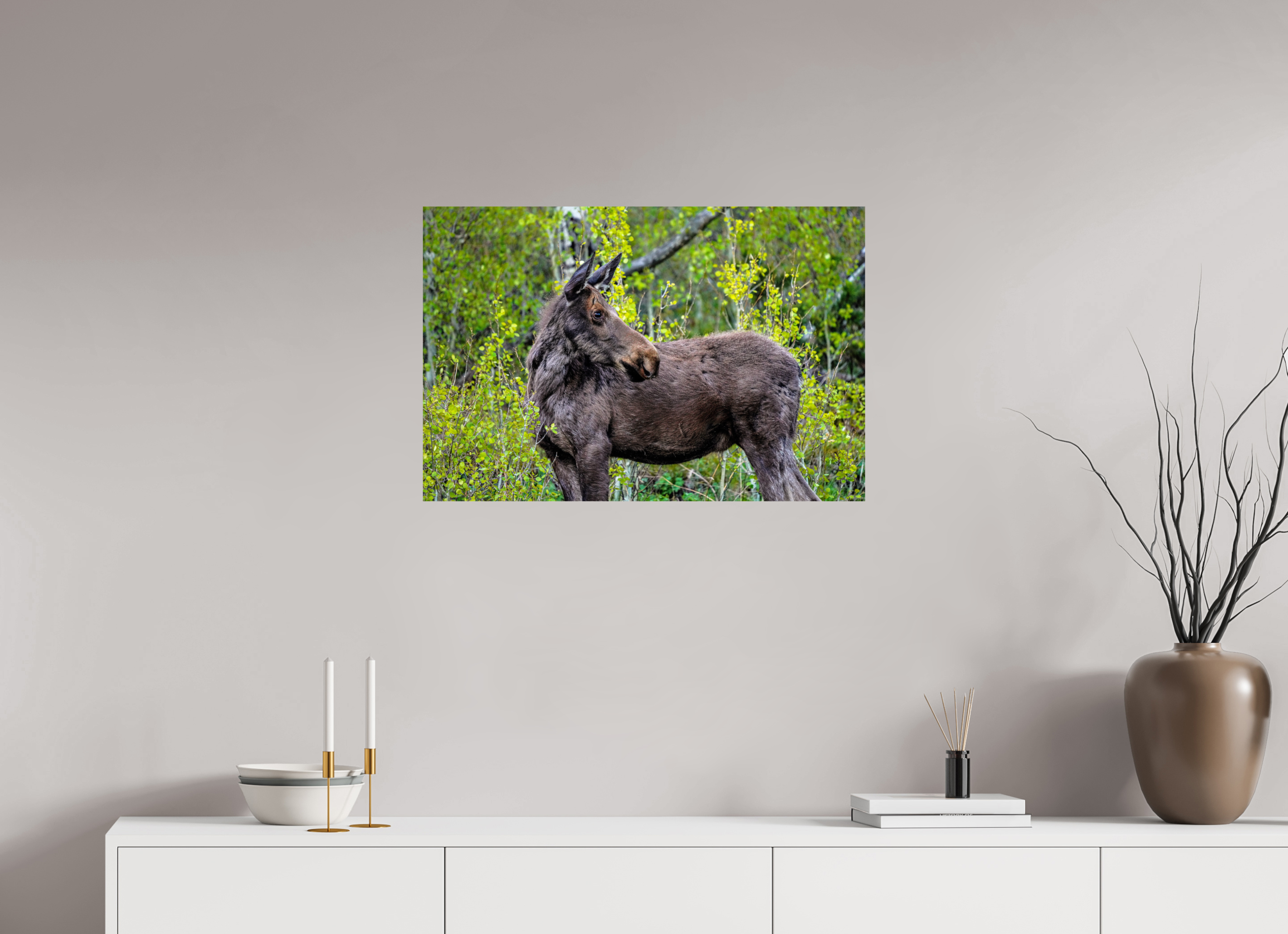 30 x 20″, PHOTO PAPER Moose Portrait