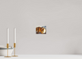 5 x 4″, PHOTO PAPER Fox