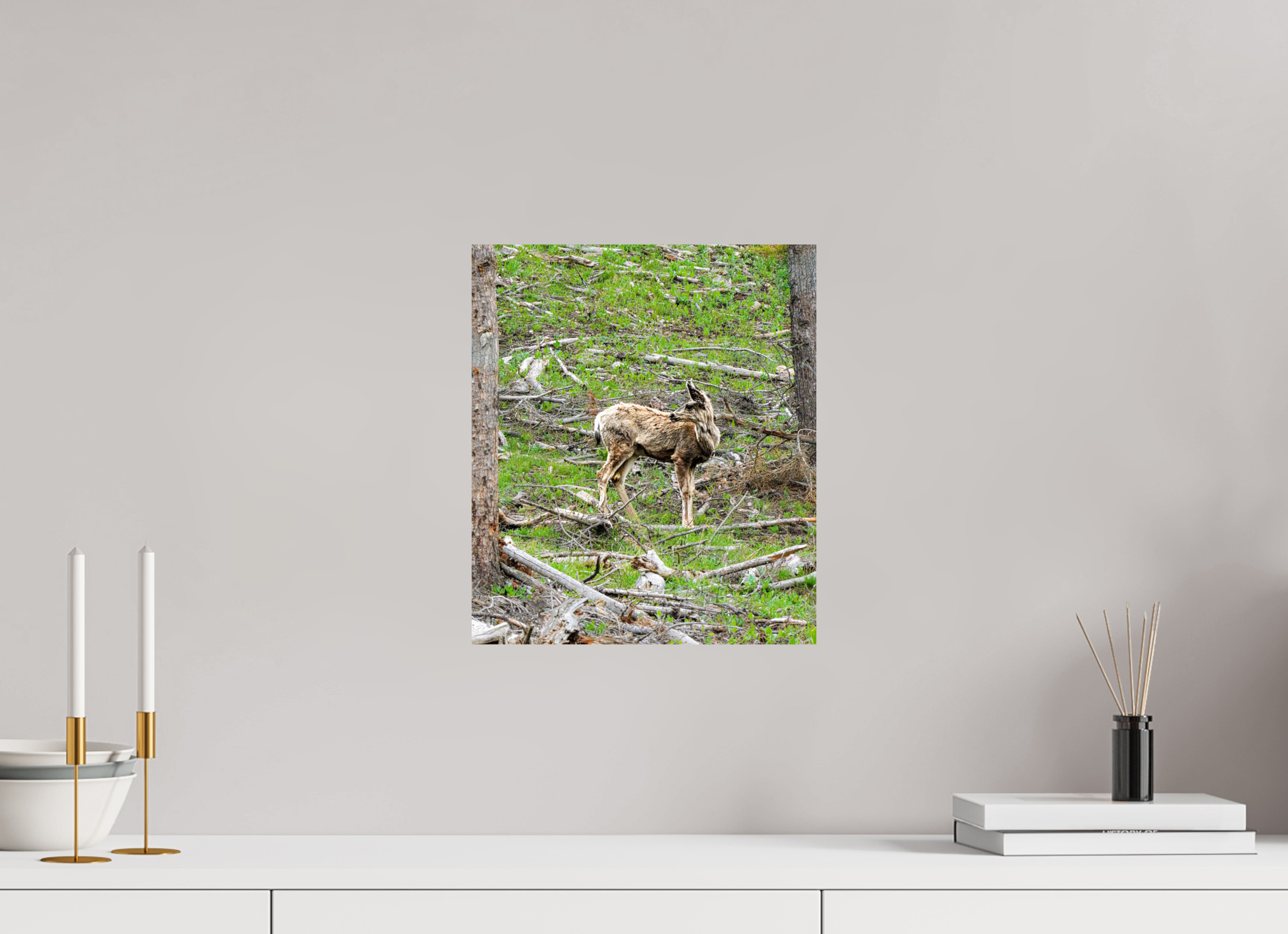 12 x 13.9″, PHOTO PAPER Deer