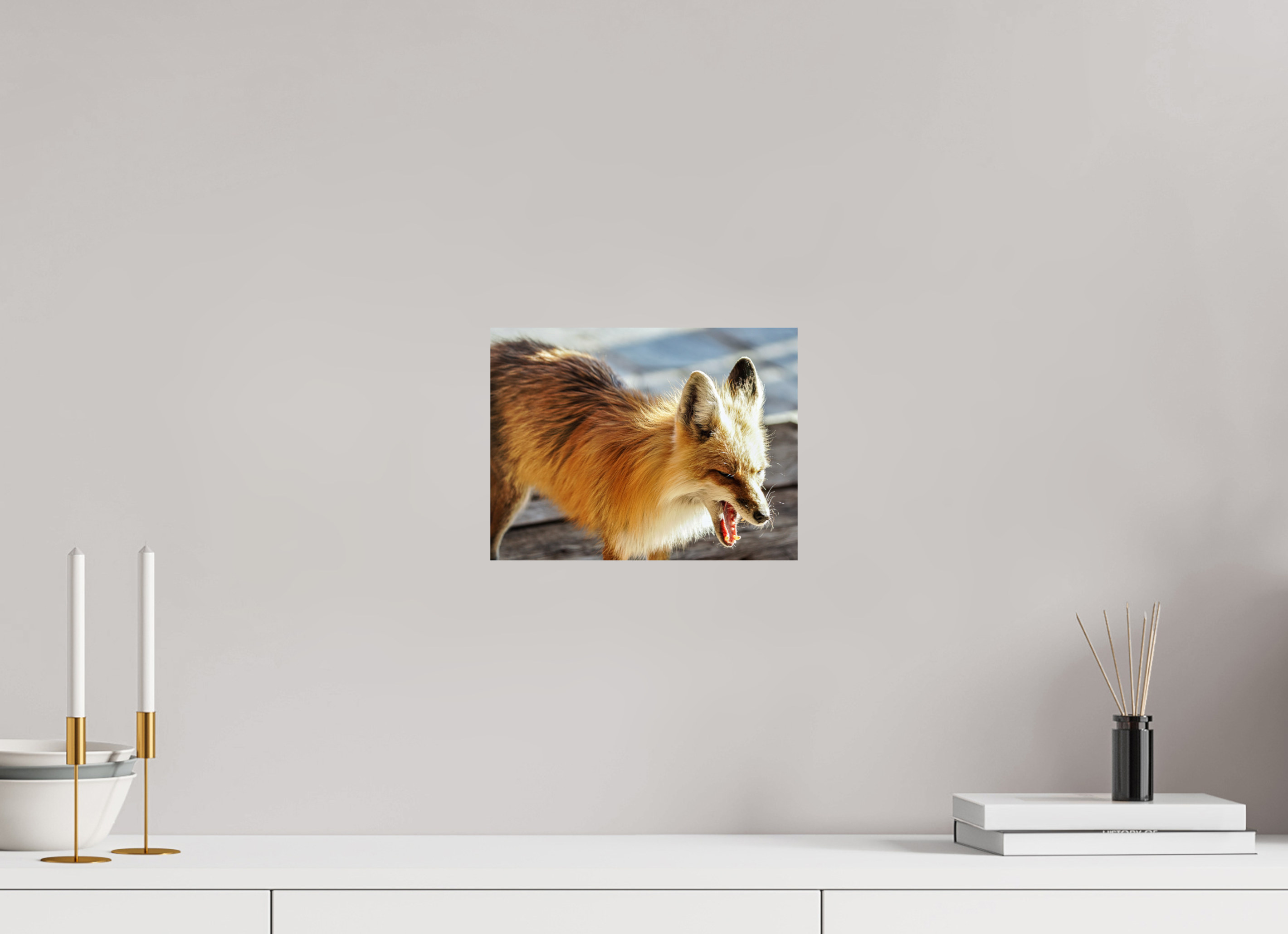 10.6 x 8″, METAL Fox