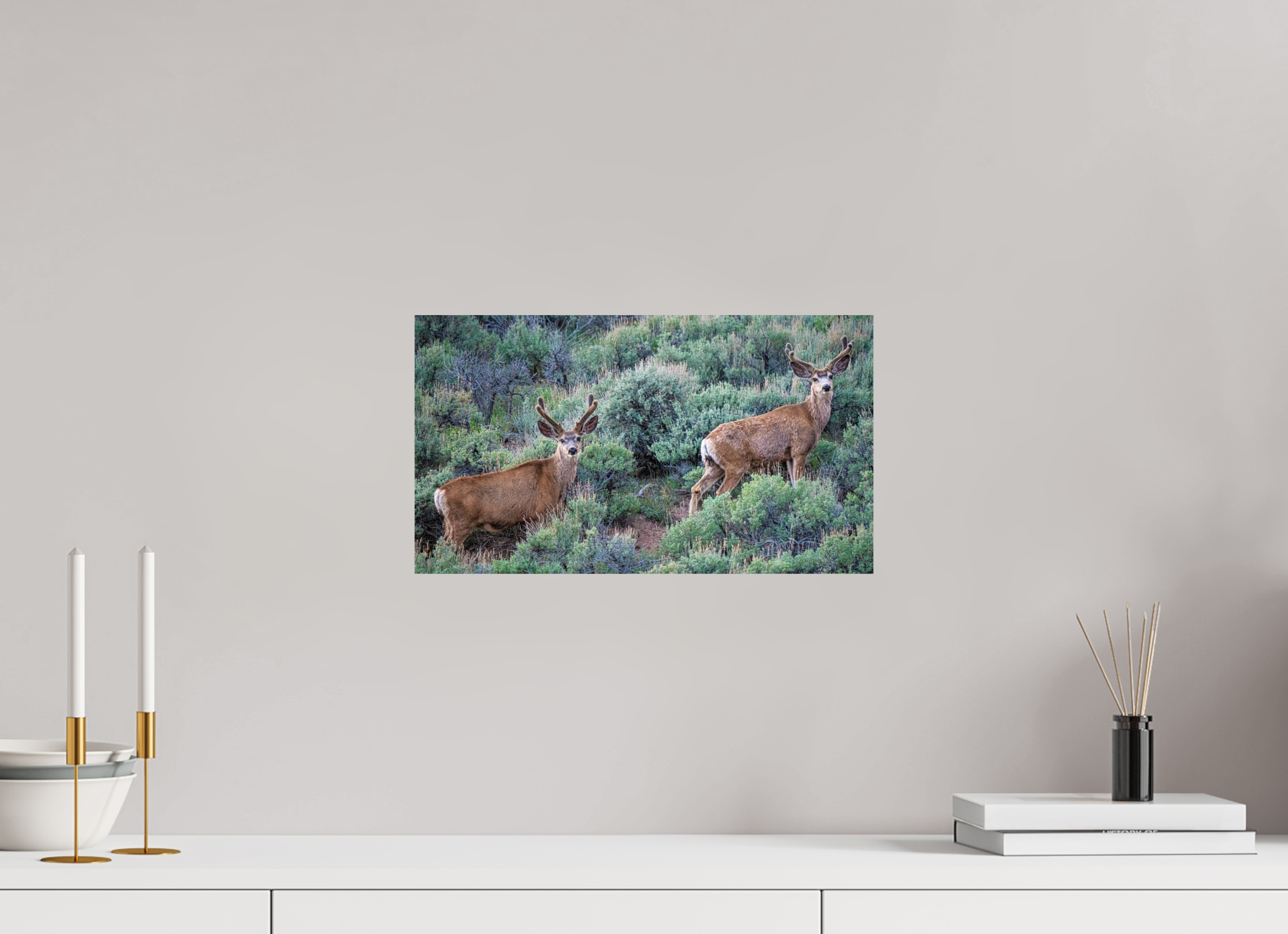 16 x 9″, PHOTO PAPER Deer