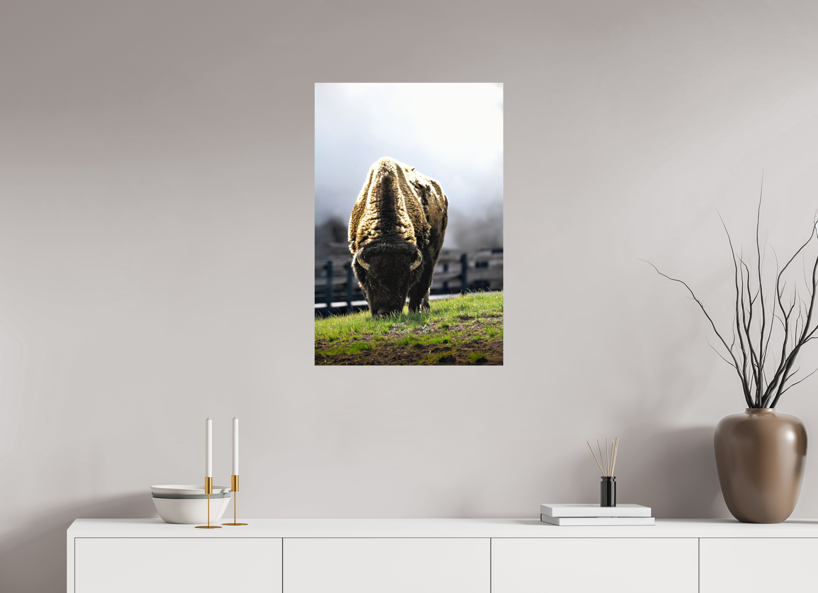 20 x 30″, METAL Bison Grazing