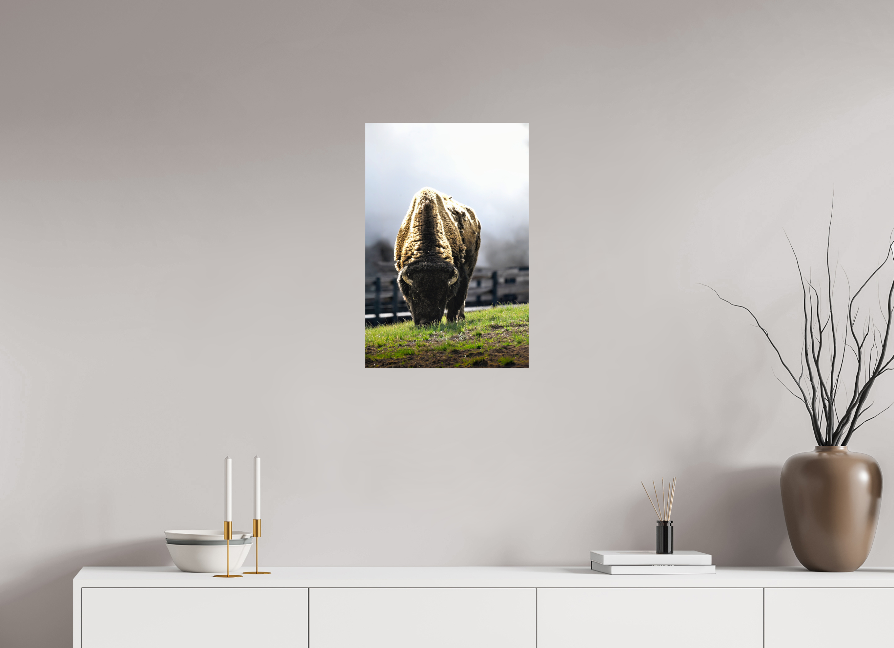 16 x 24″, PHOTO PAPER Bison Grazing