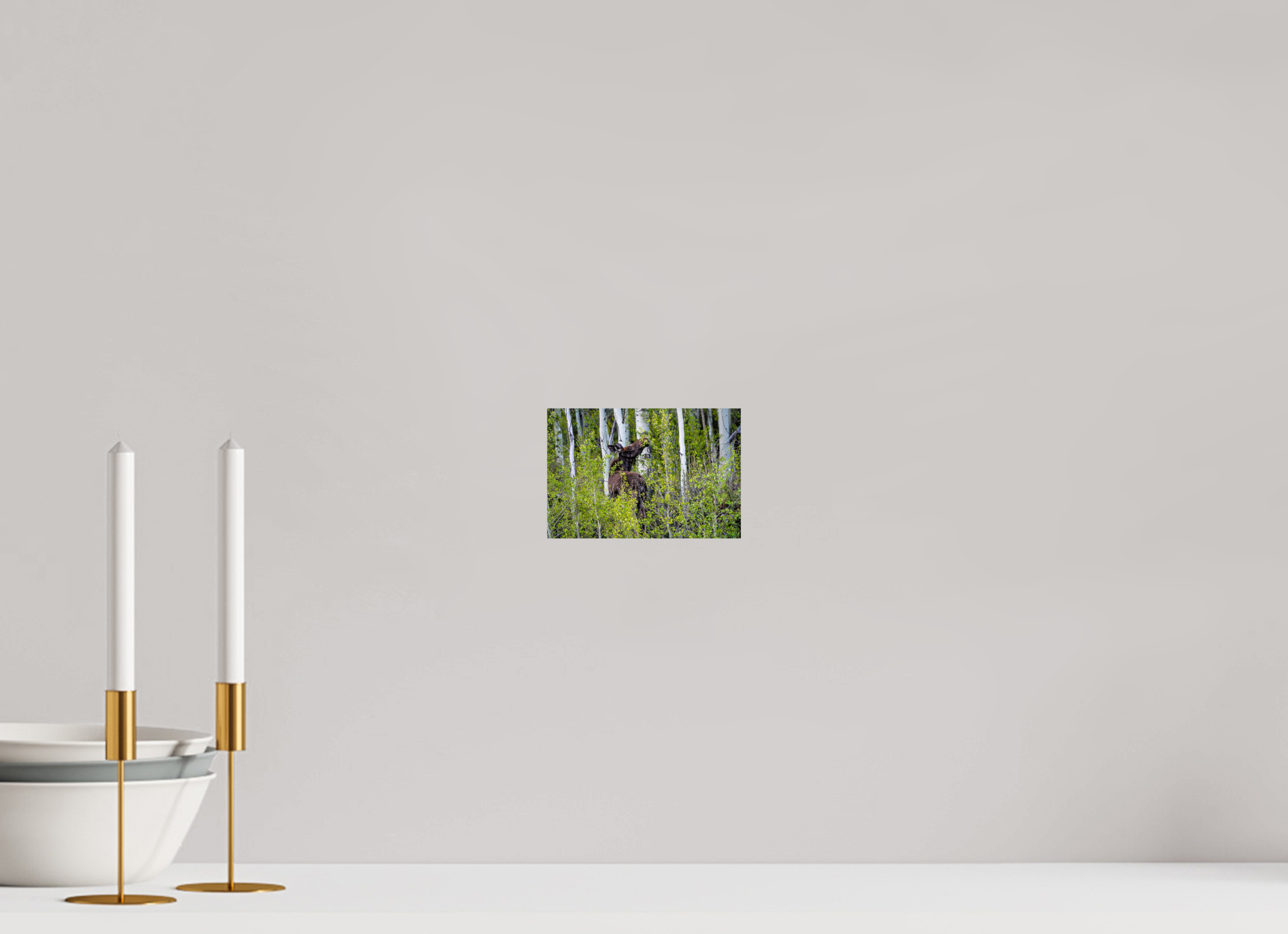 6 x 4″, METAL Cow Moose Snacking on Aspens