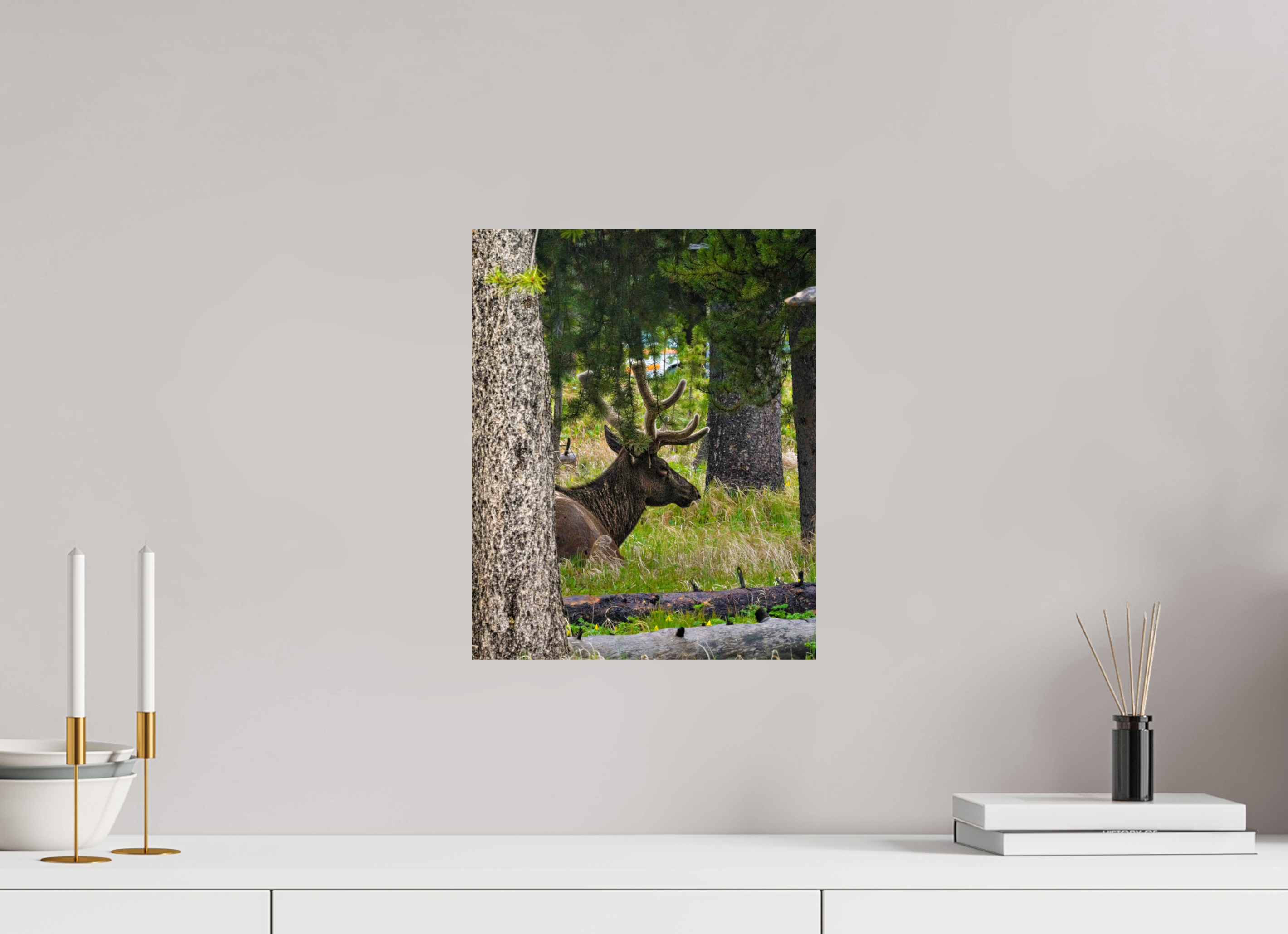 12 x 15″, PHOTO PAPER Elk