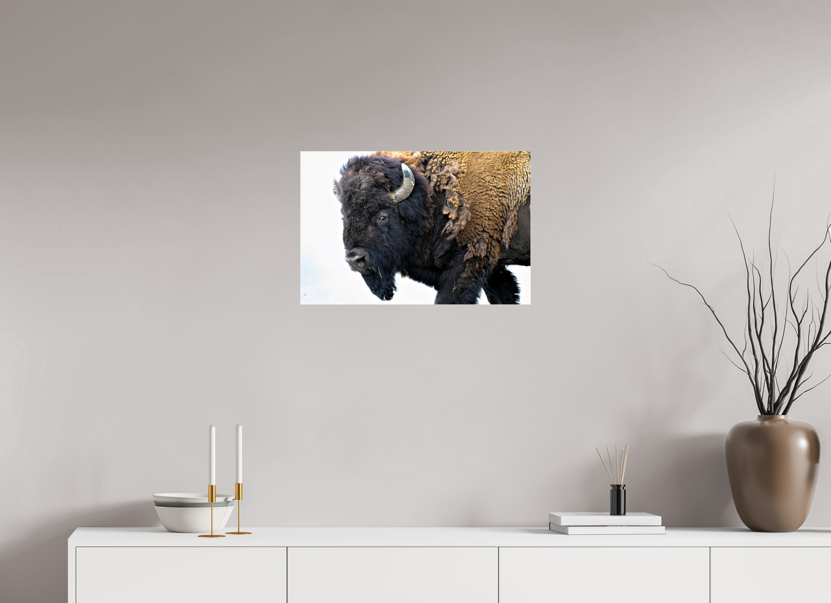 24 x 16″, ACRYLIC Bison Side eye
