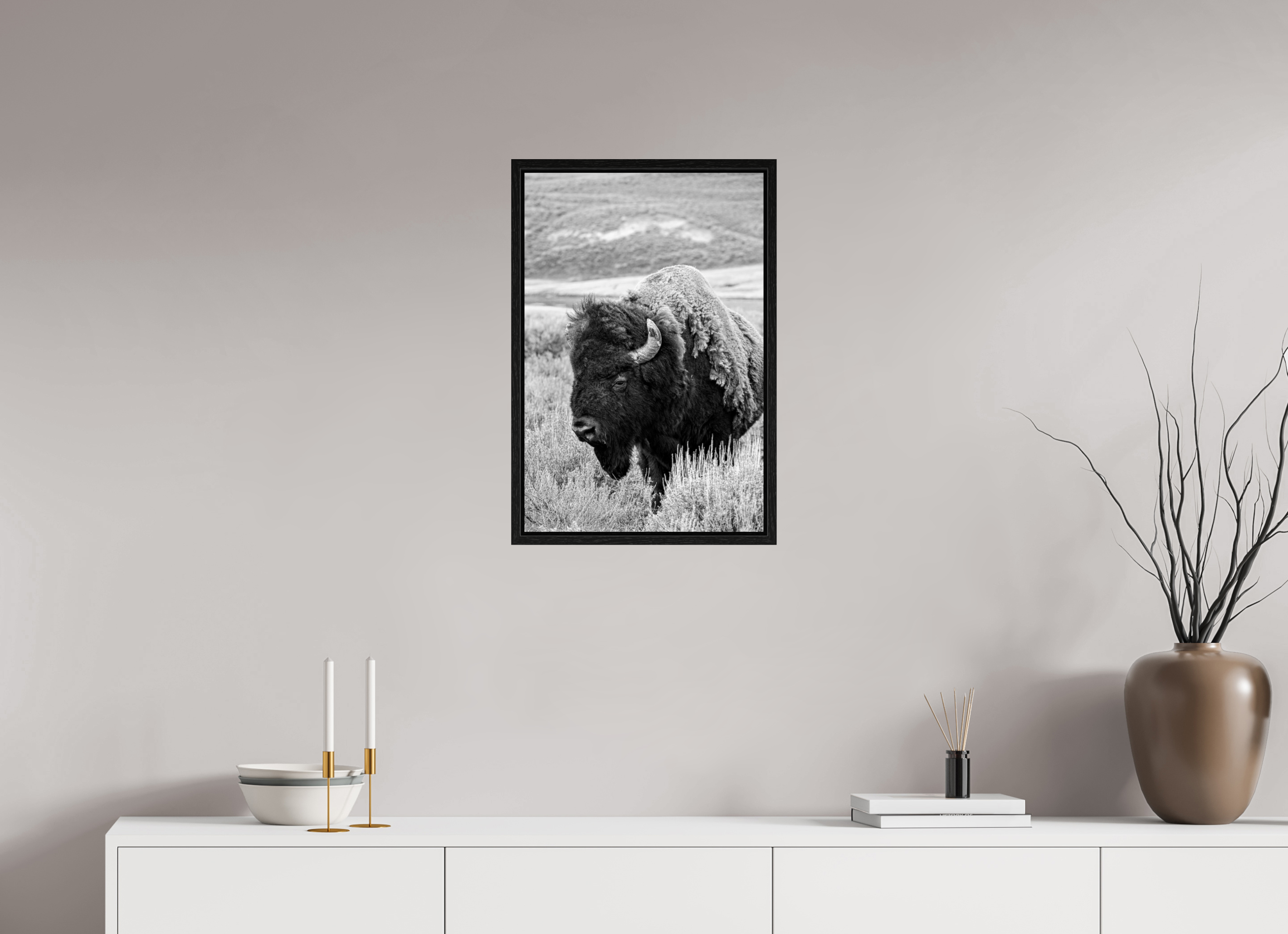 16 x 24″, Floater Frame Black and White Bison Side Profile