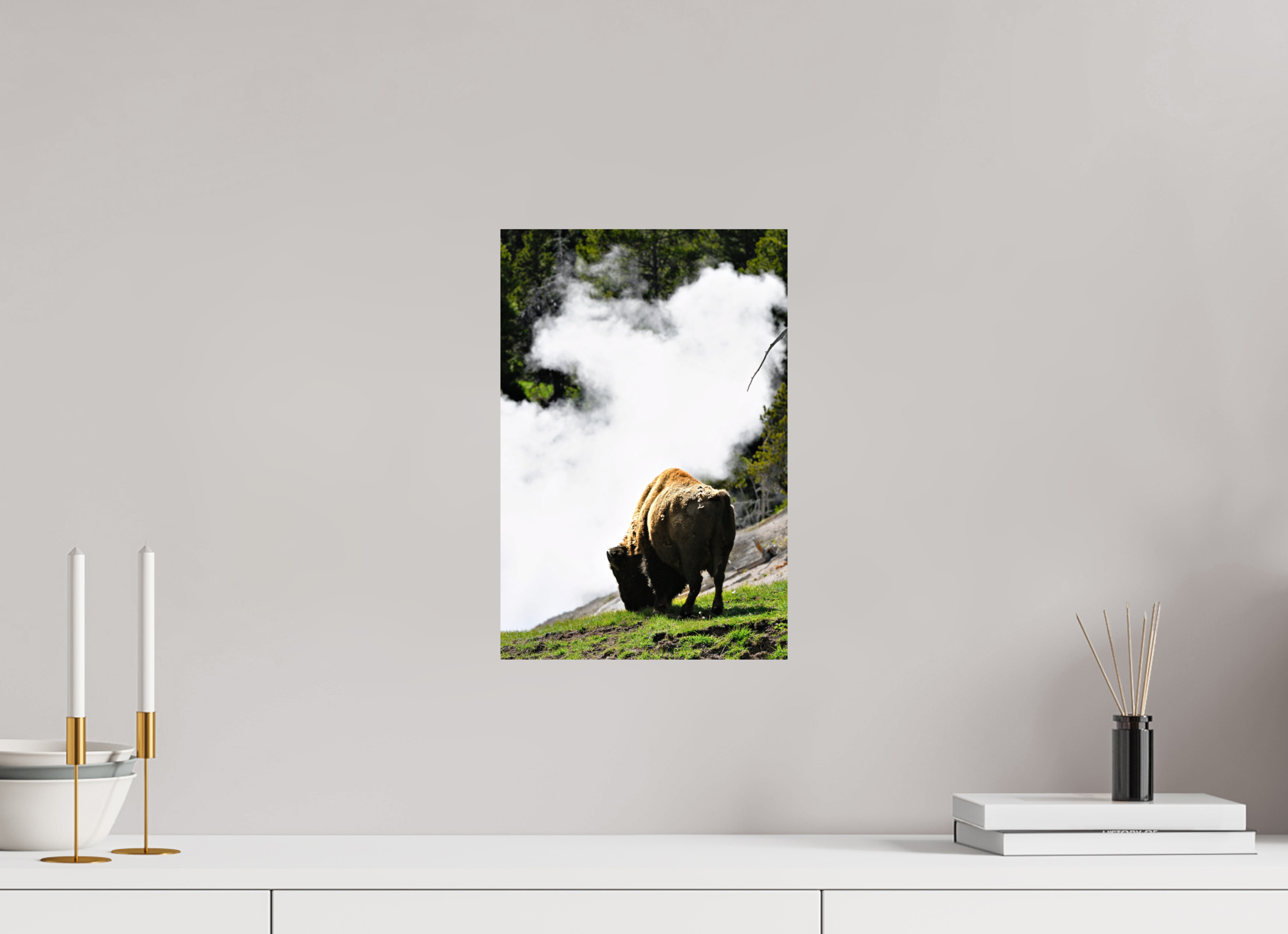10 x 15″, PHOTO PAPER Bison Grazing