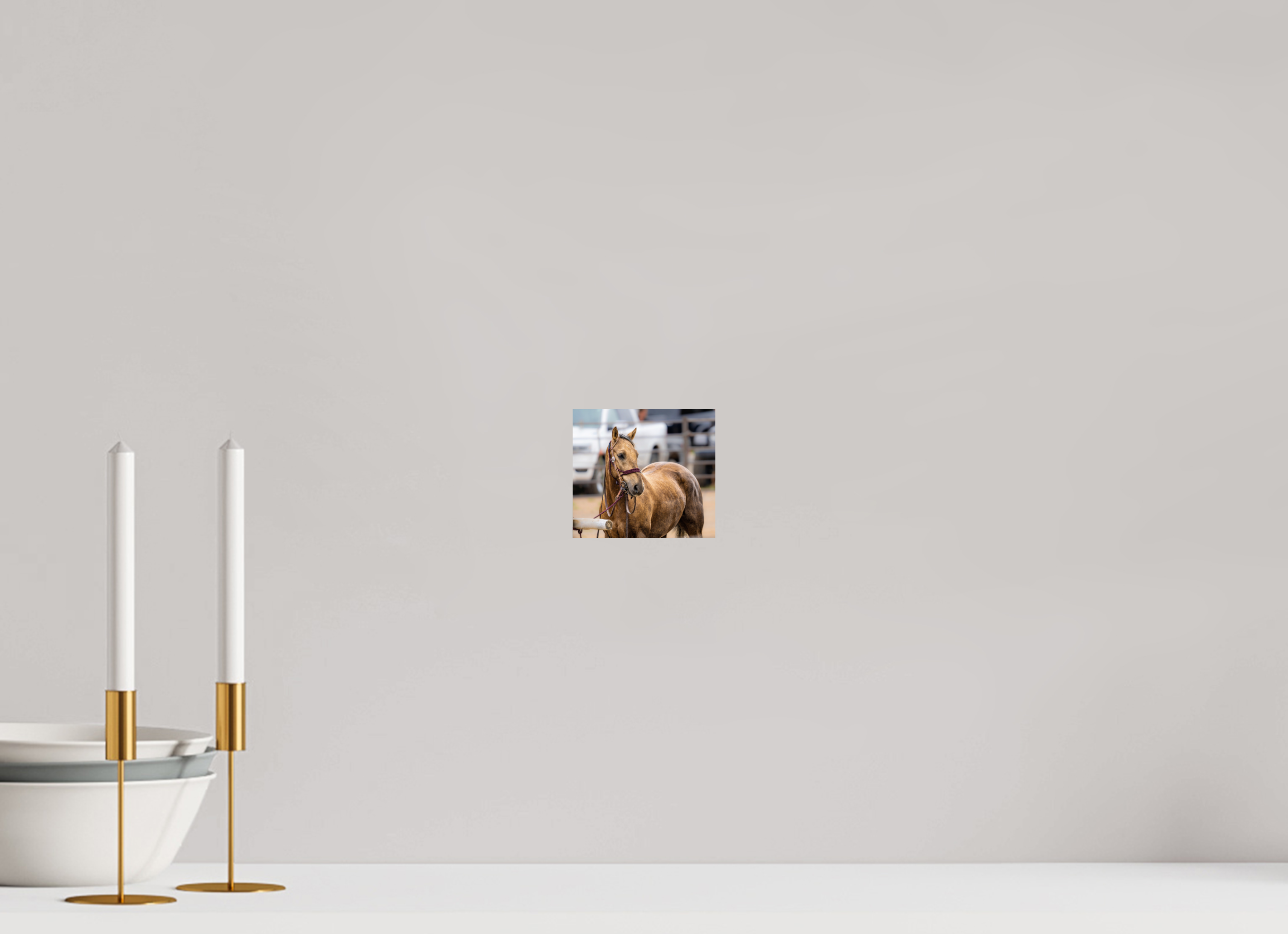 4.4 x 4″, PHOTO PAPER Pack Horse Portrait 3