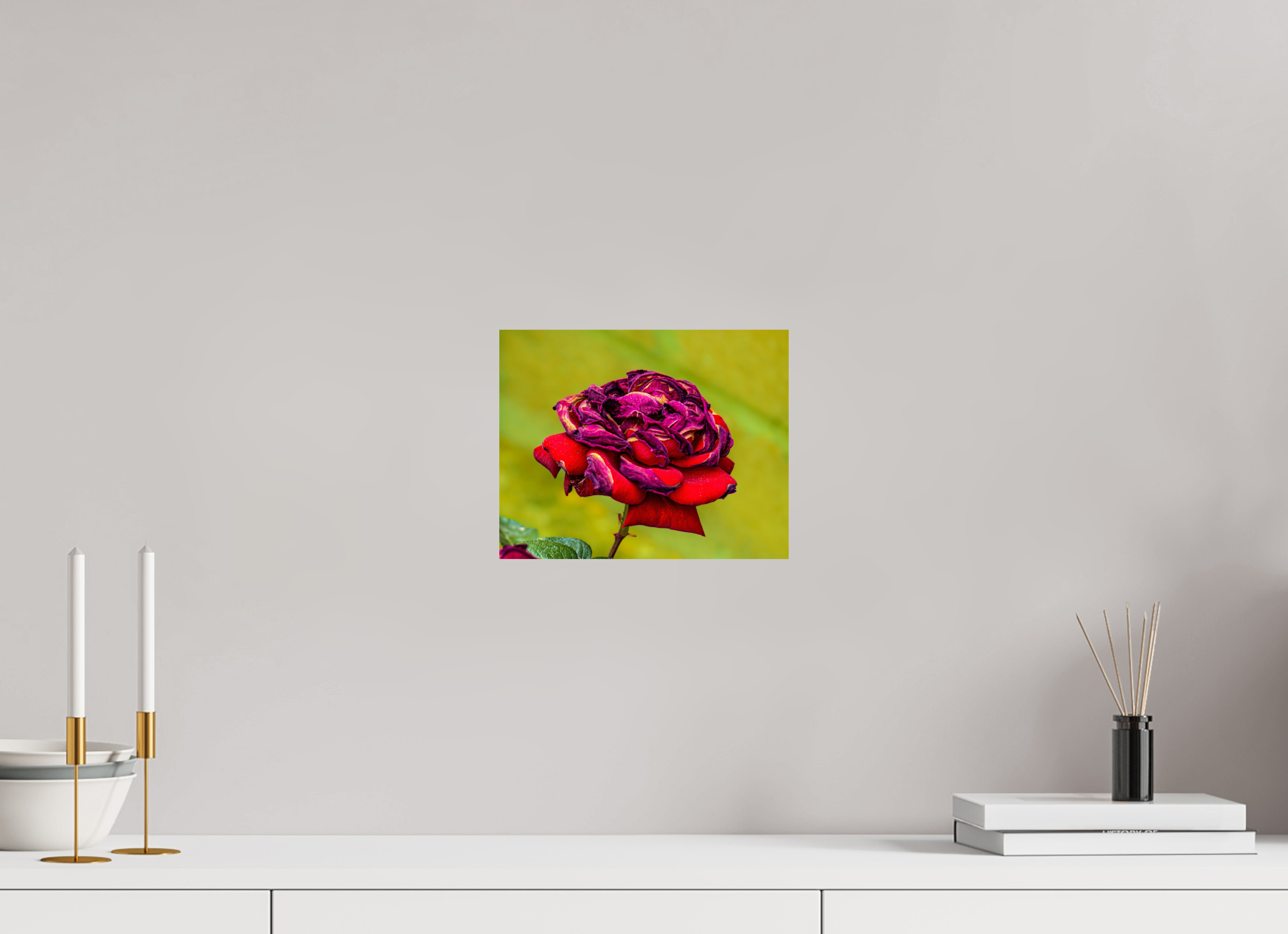 10.1 x 8″, PHOTO PAPER Red Rose