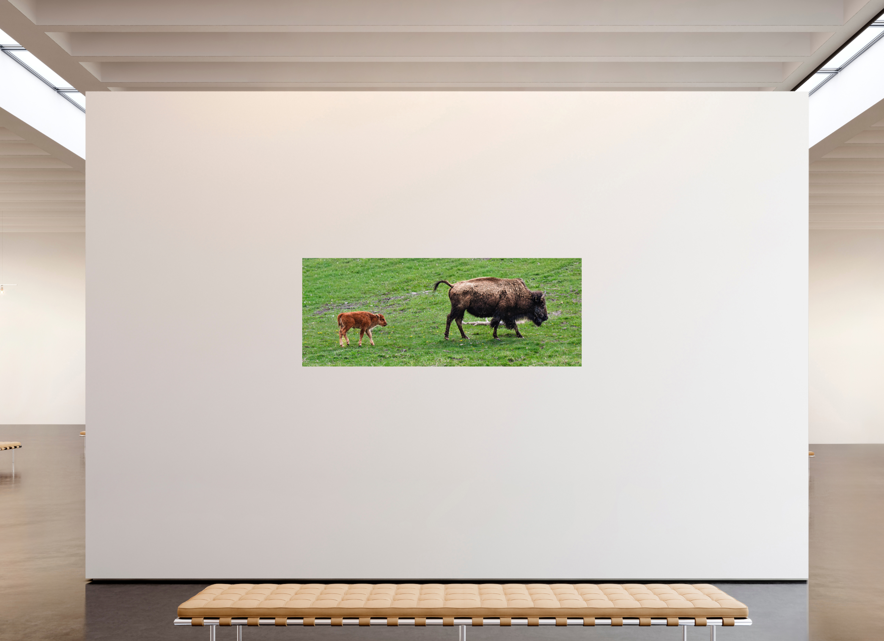79.8 x 31″, METAL Bison and her Red Dog Following