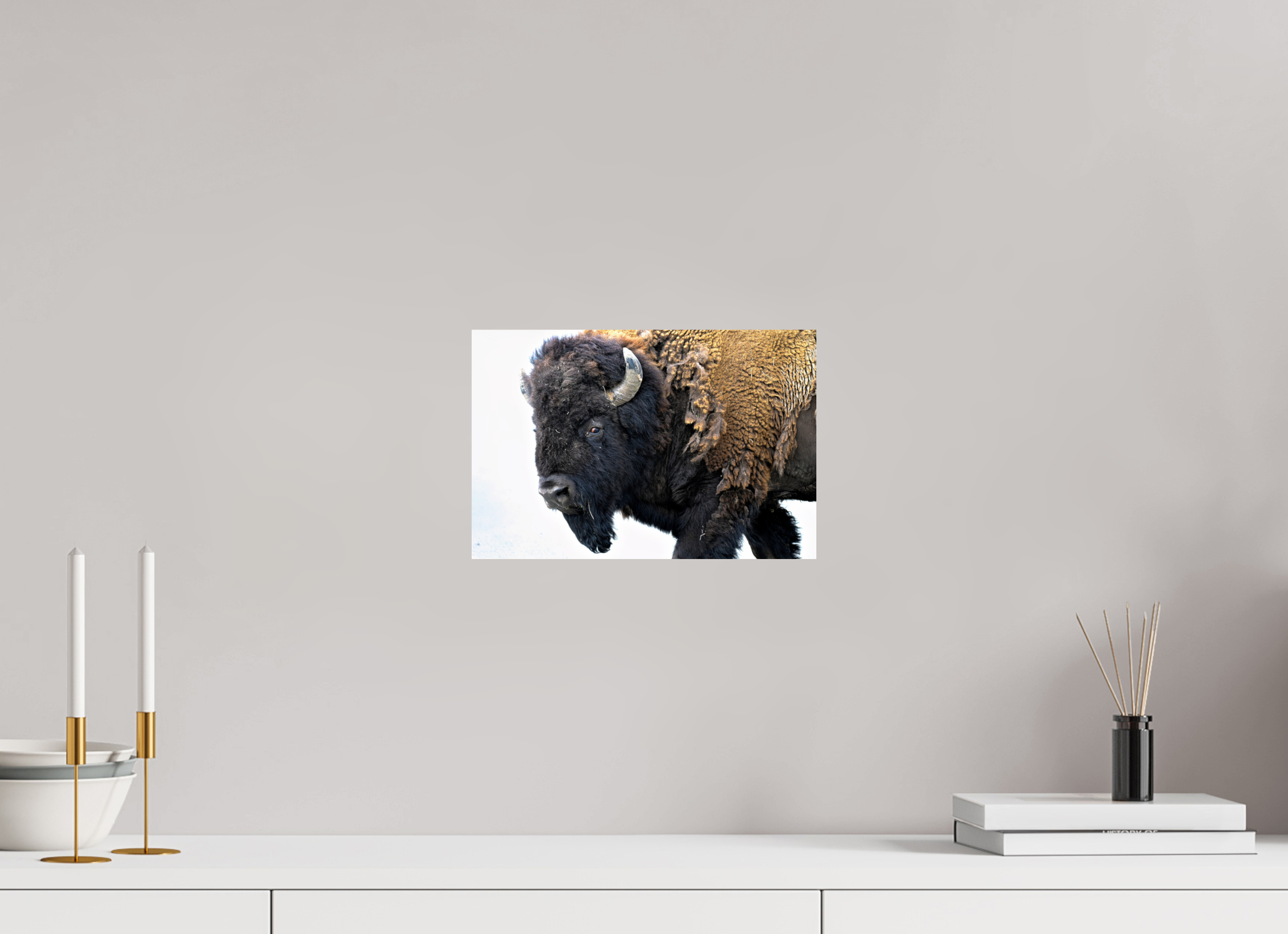 12 x 8″, PHOTO PAPER Bison Side eye