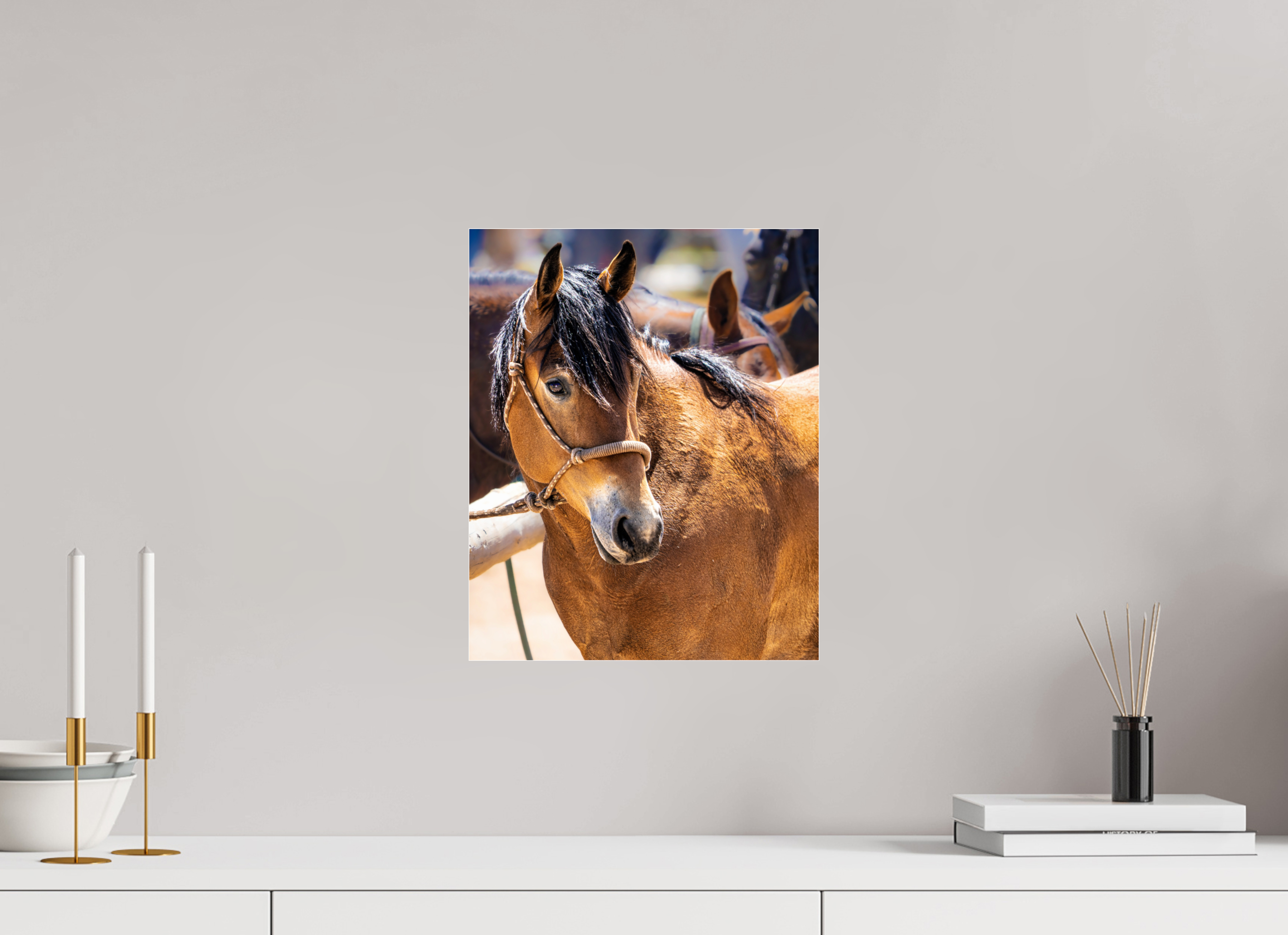 12 x 14.8″, ACRYLIC Pack Horse Portrait 5