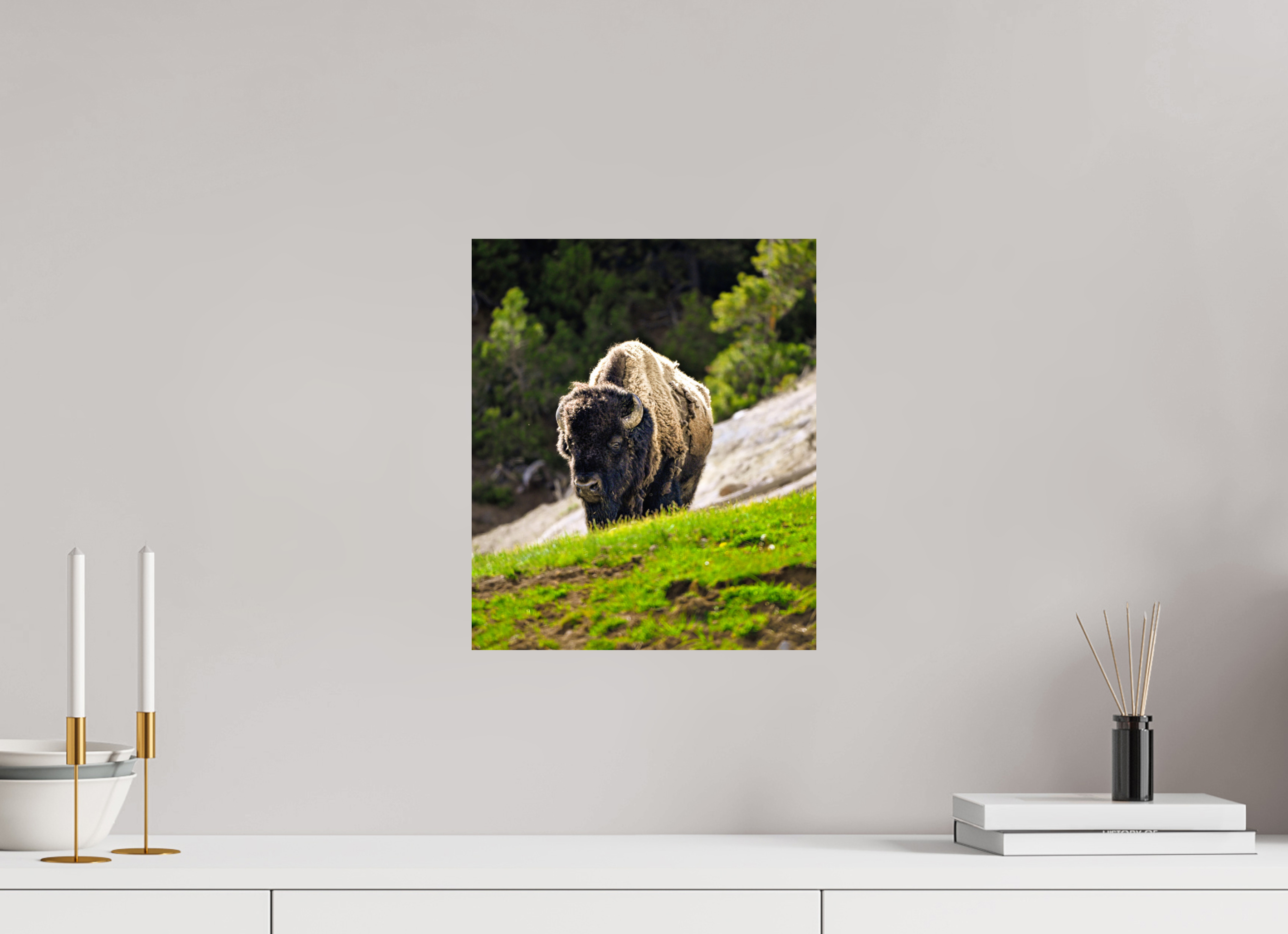 12 x 14.3″, PHOTO PAPER Bison Portrait