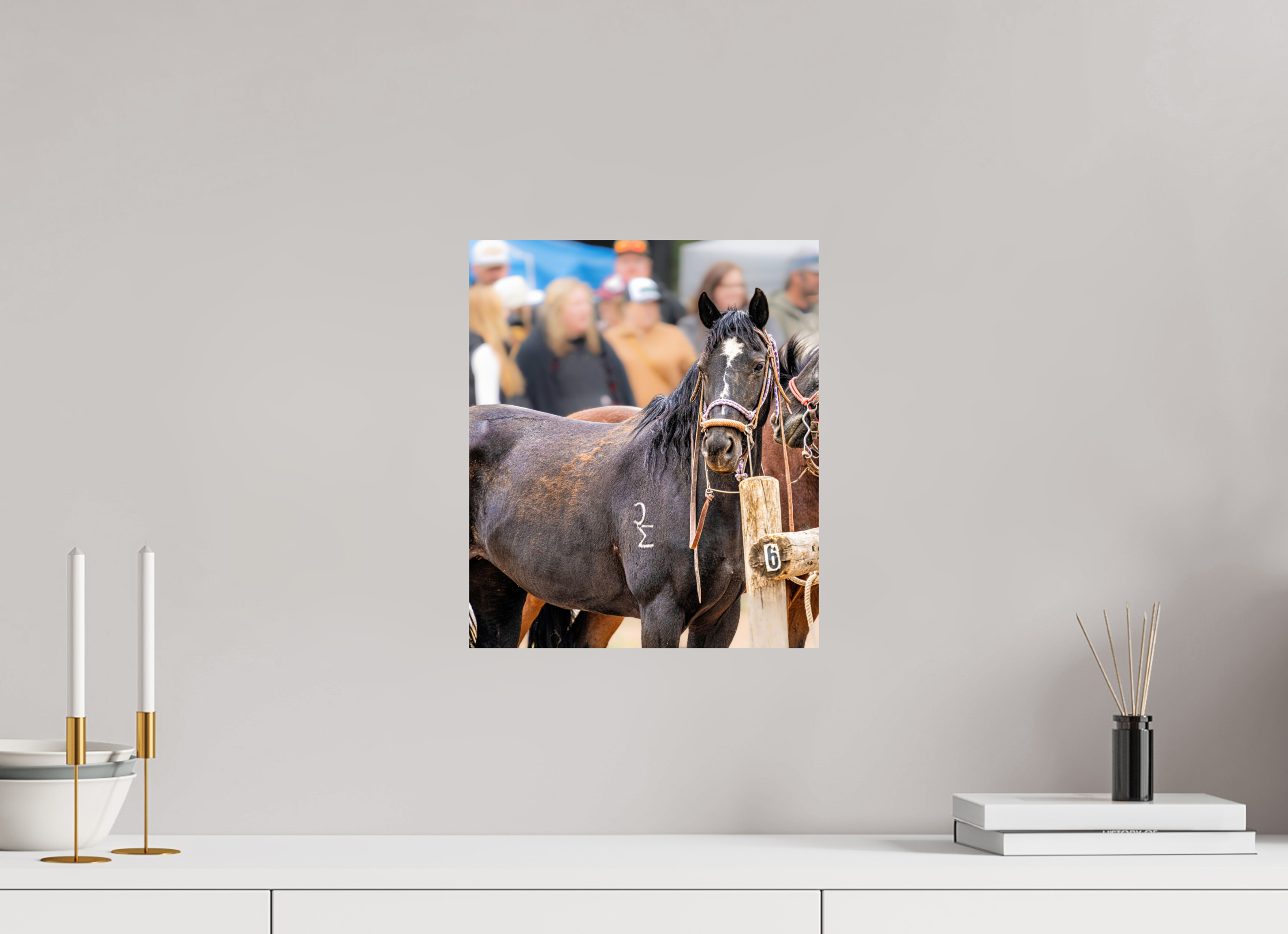 12 x 14″, METAL Pack Horse Portrait 17 Web Exclusive