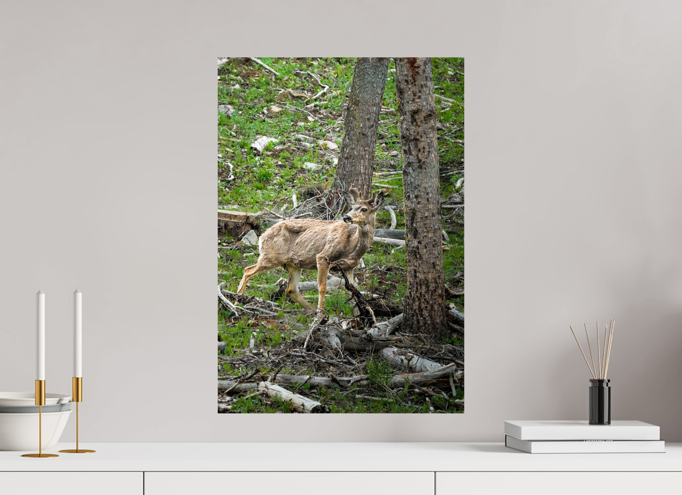16 x 23.1″, METAL Deer
