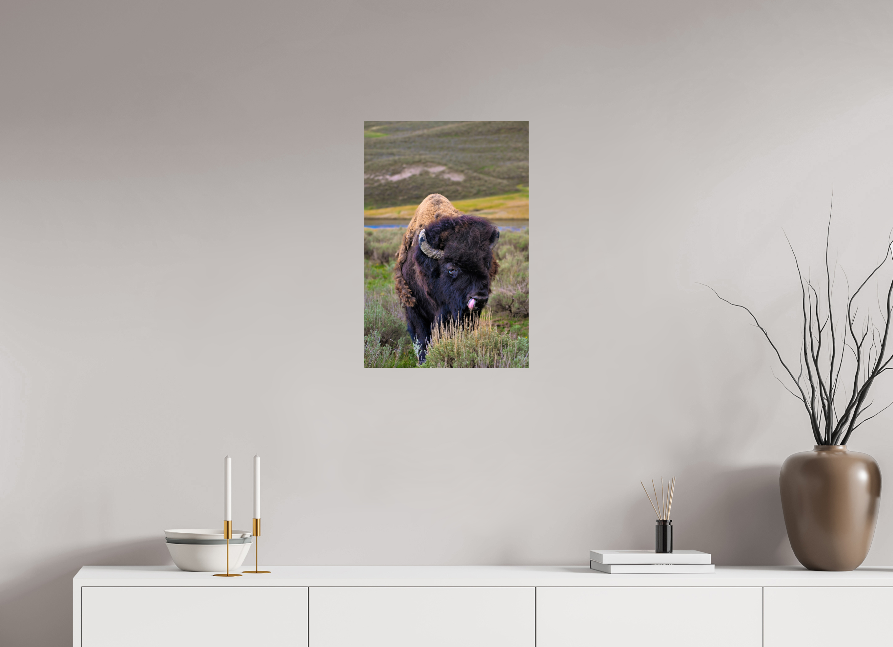 16 x 24″, METAL Bison with Tongue