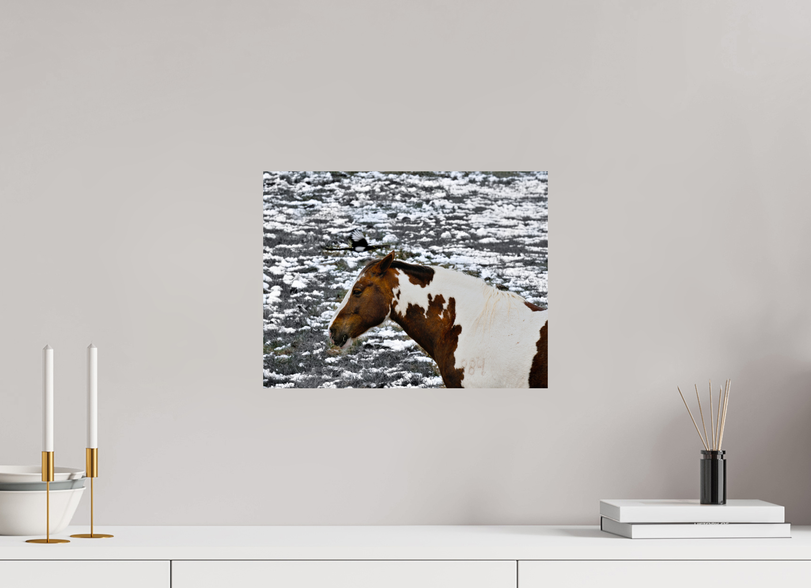15.7 x 12″, PHOTO PAPER Paint Horse with Bird Flying Over