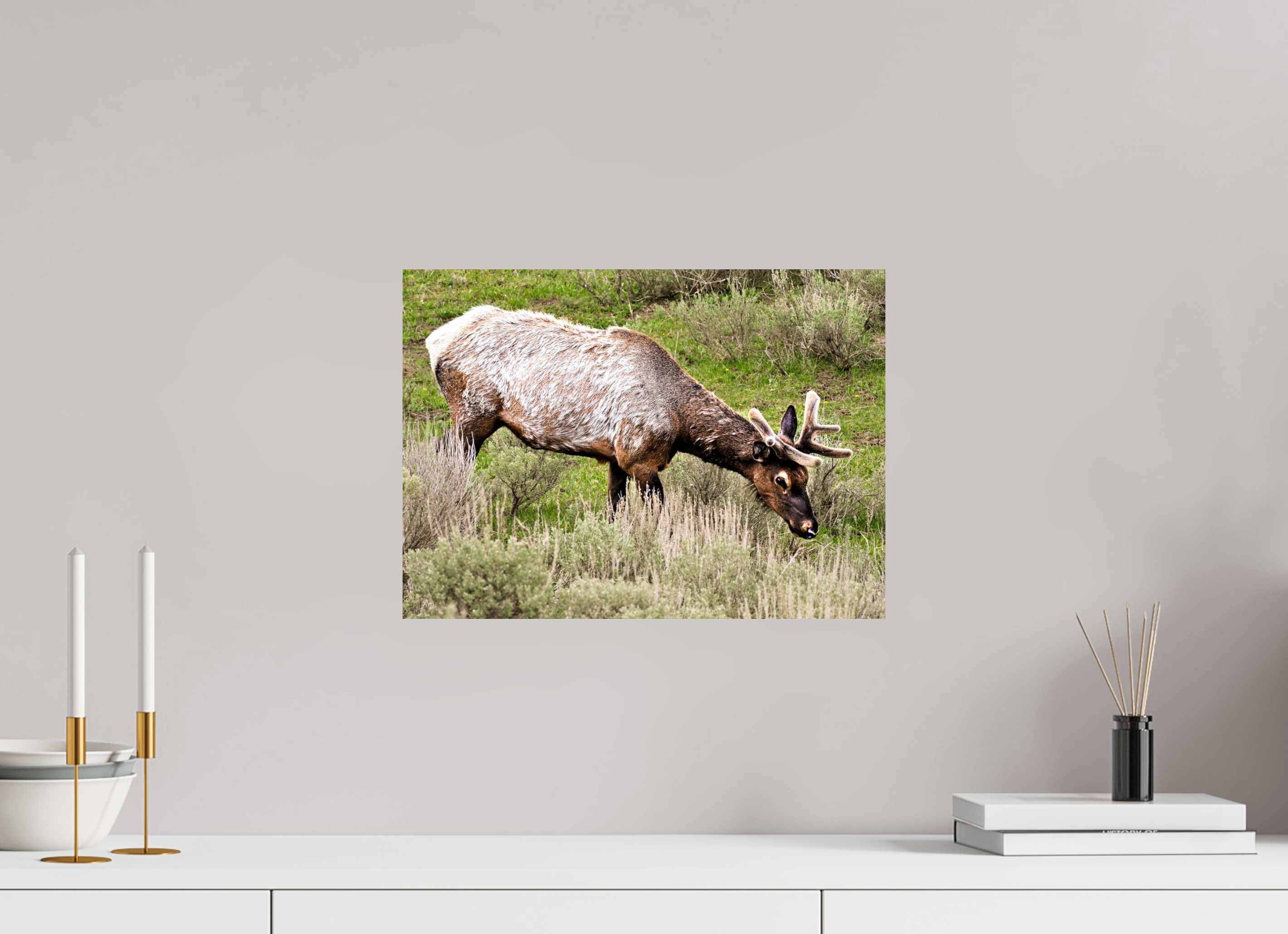 16.6 x 12″, METAL Elk