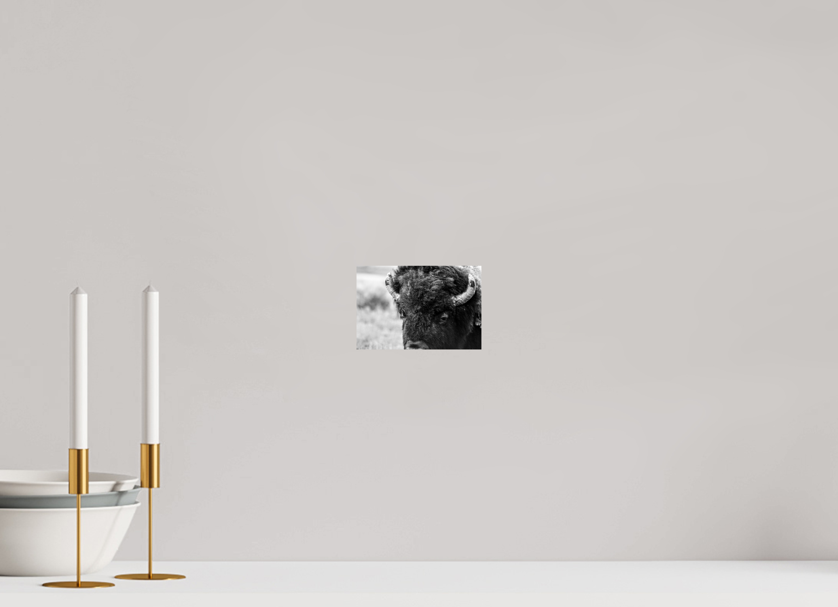 6 x 4″, PHOTO PAPER Monochrome Bison