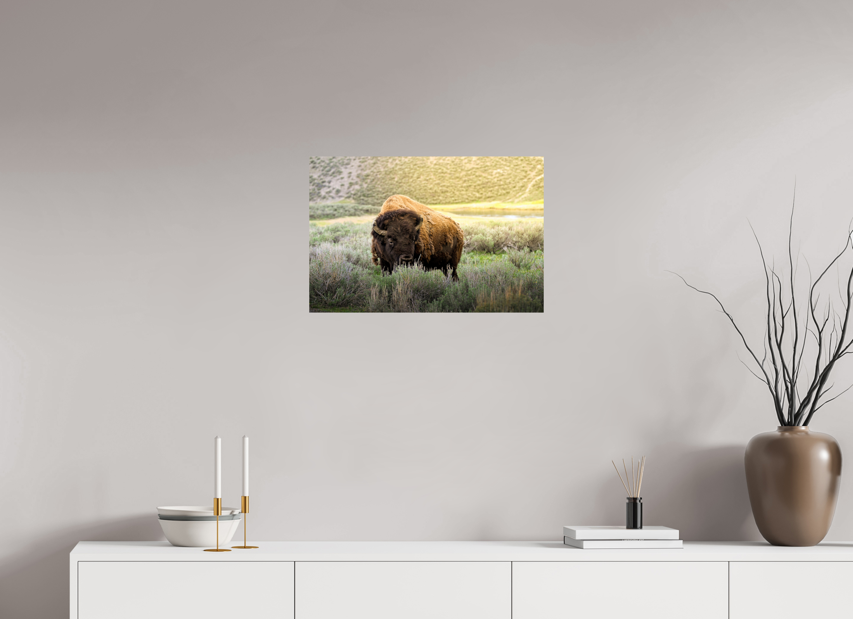 24 x 16″, PHOTO PAPER Bison in the Sunlight