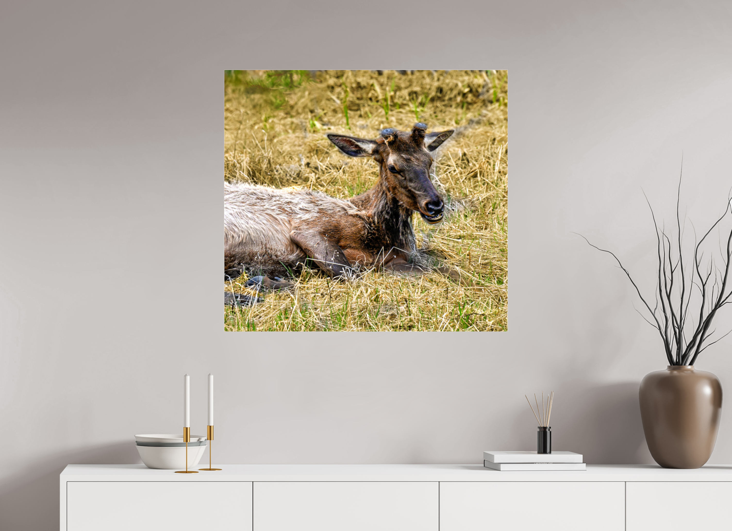 33.6 x 31″, ACRYLIC Elk