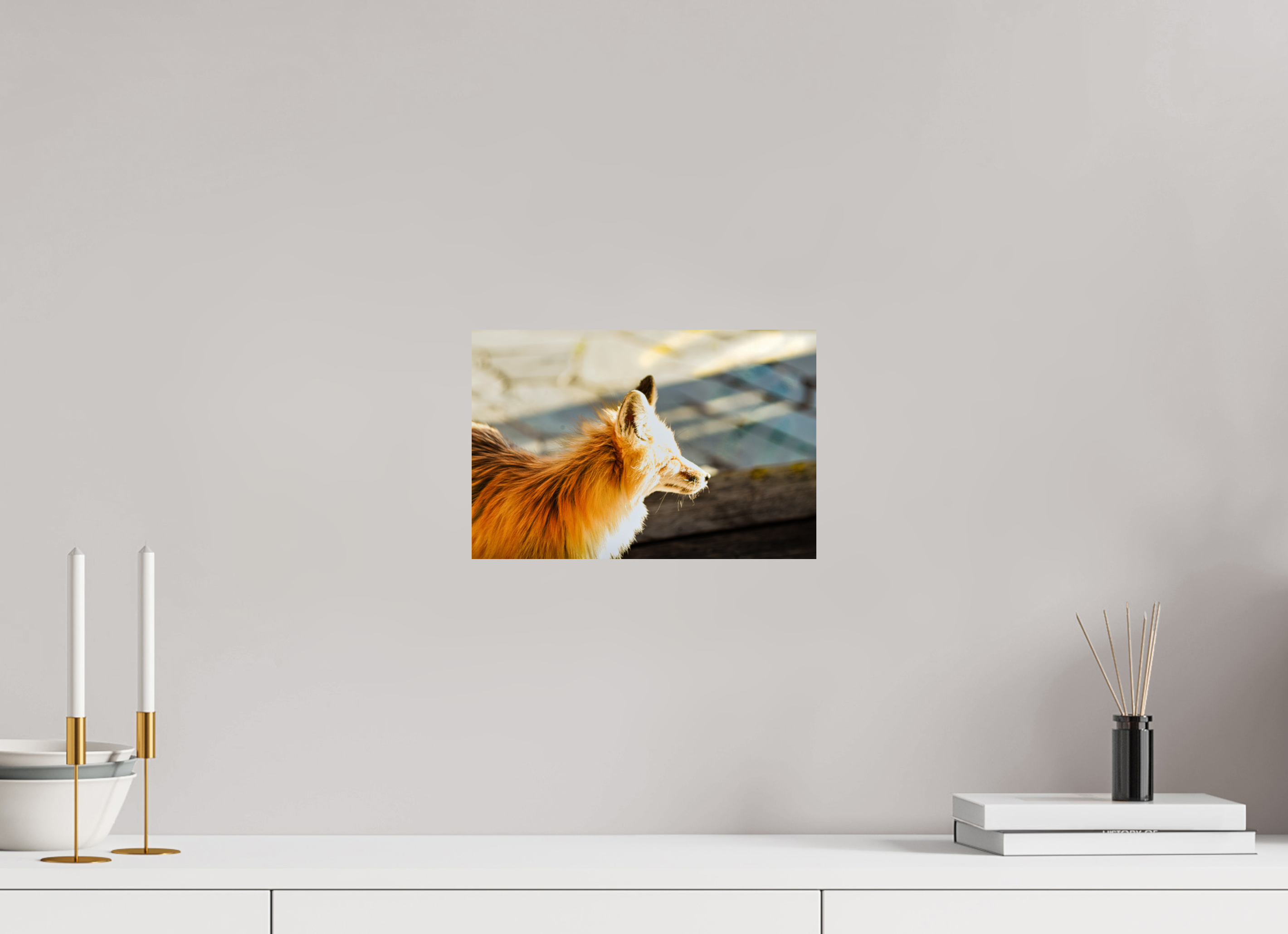12 x 8″, PHOTO PAPER Fox