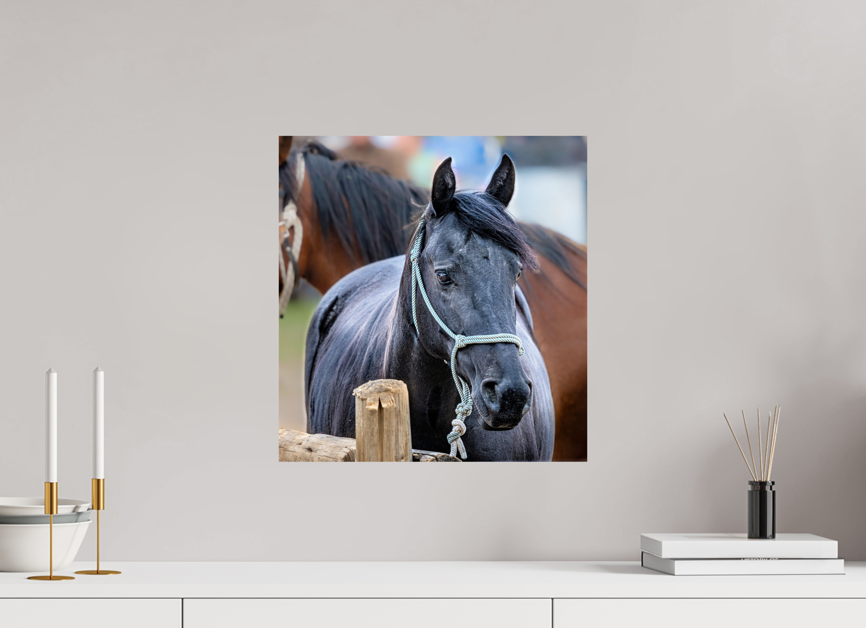 16 x 16.9″, PHOTO PAPER Pack Horse Portrait 8 Web Exclusive