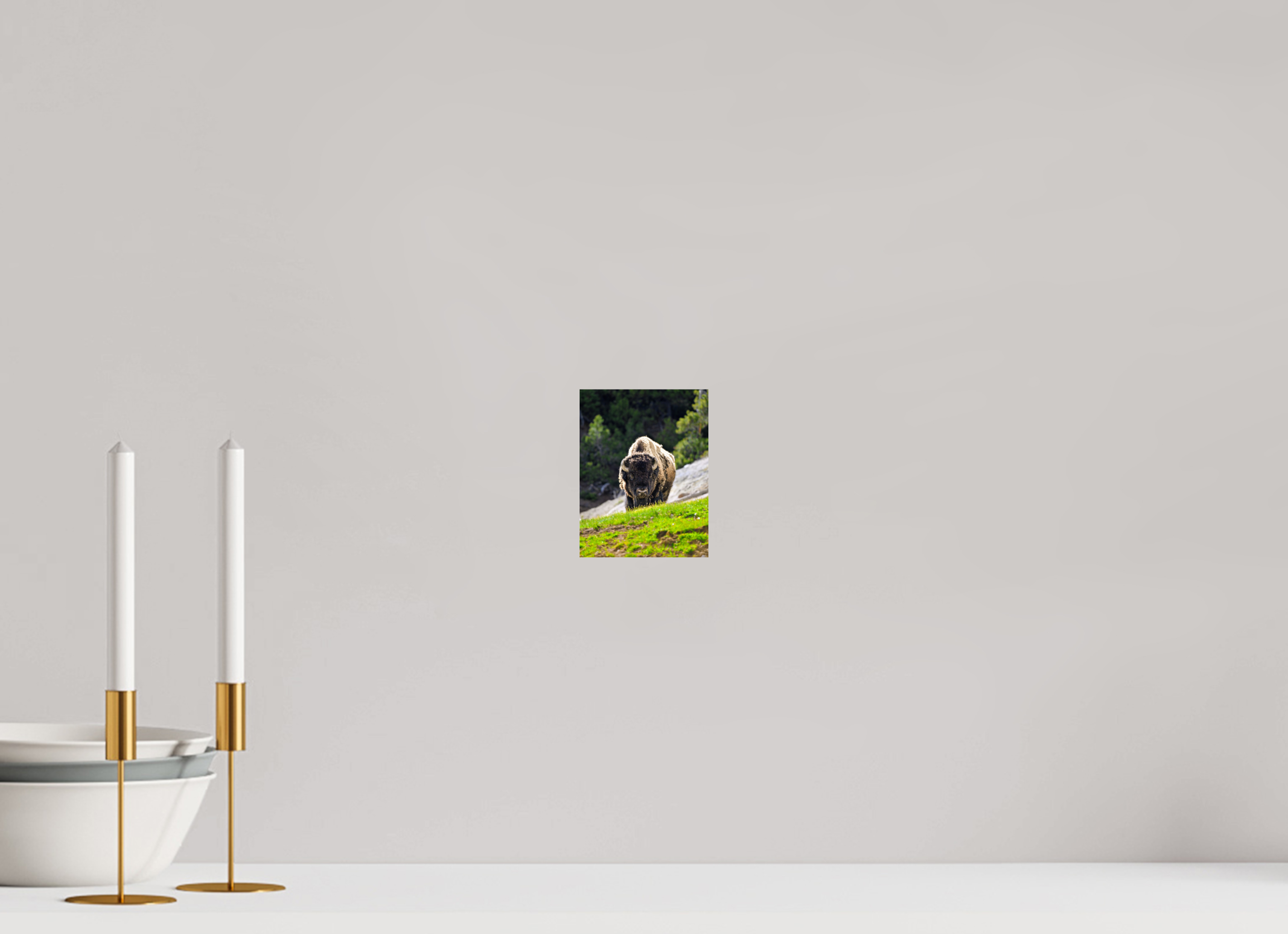 4 x 5.2″, PHOTO PAPER Bison Portrait