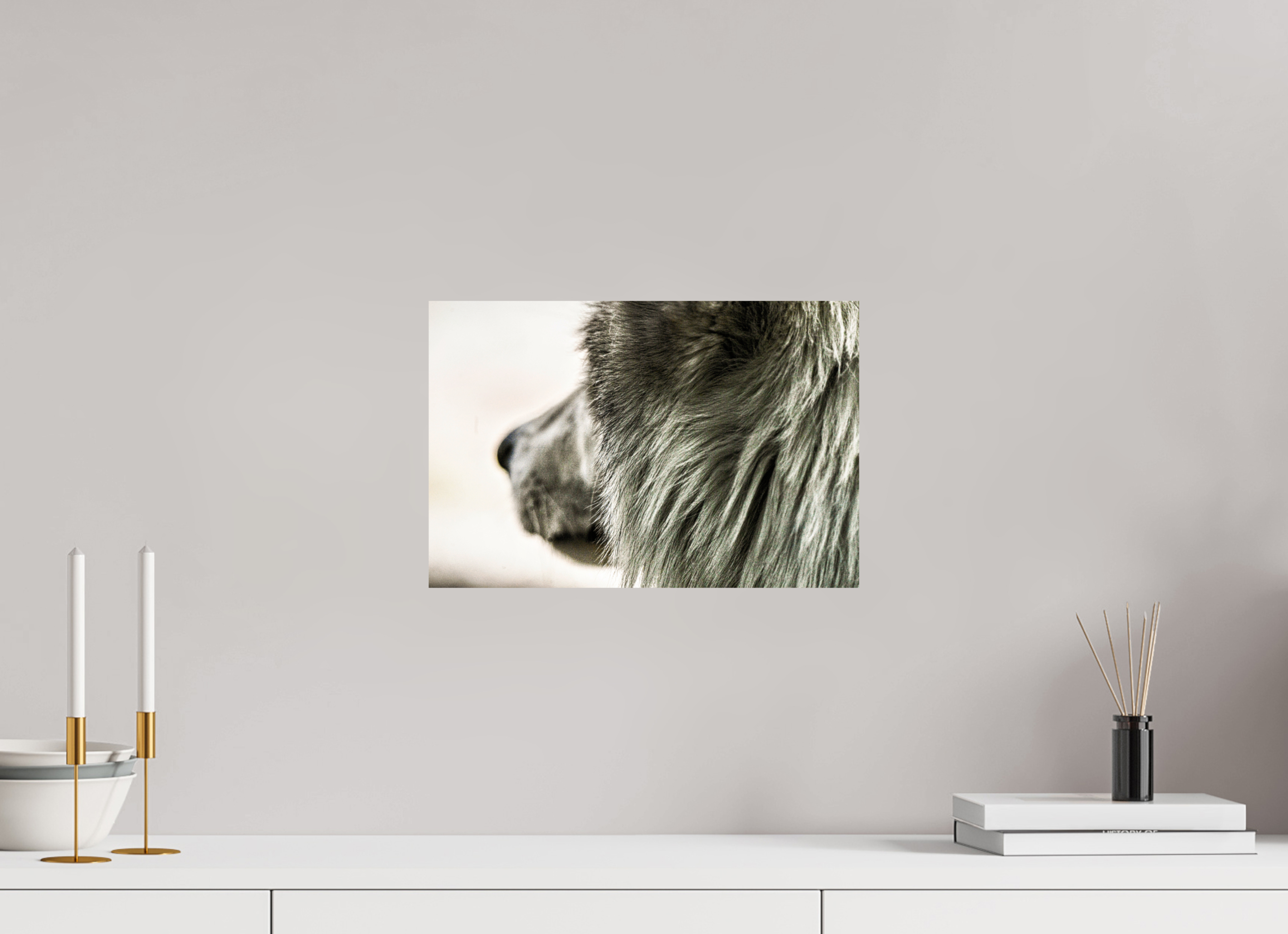 15 x 10″, PHOTO PAPER Wolf