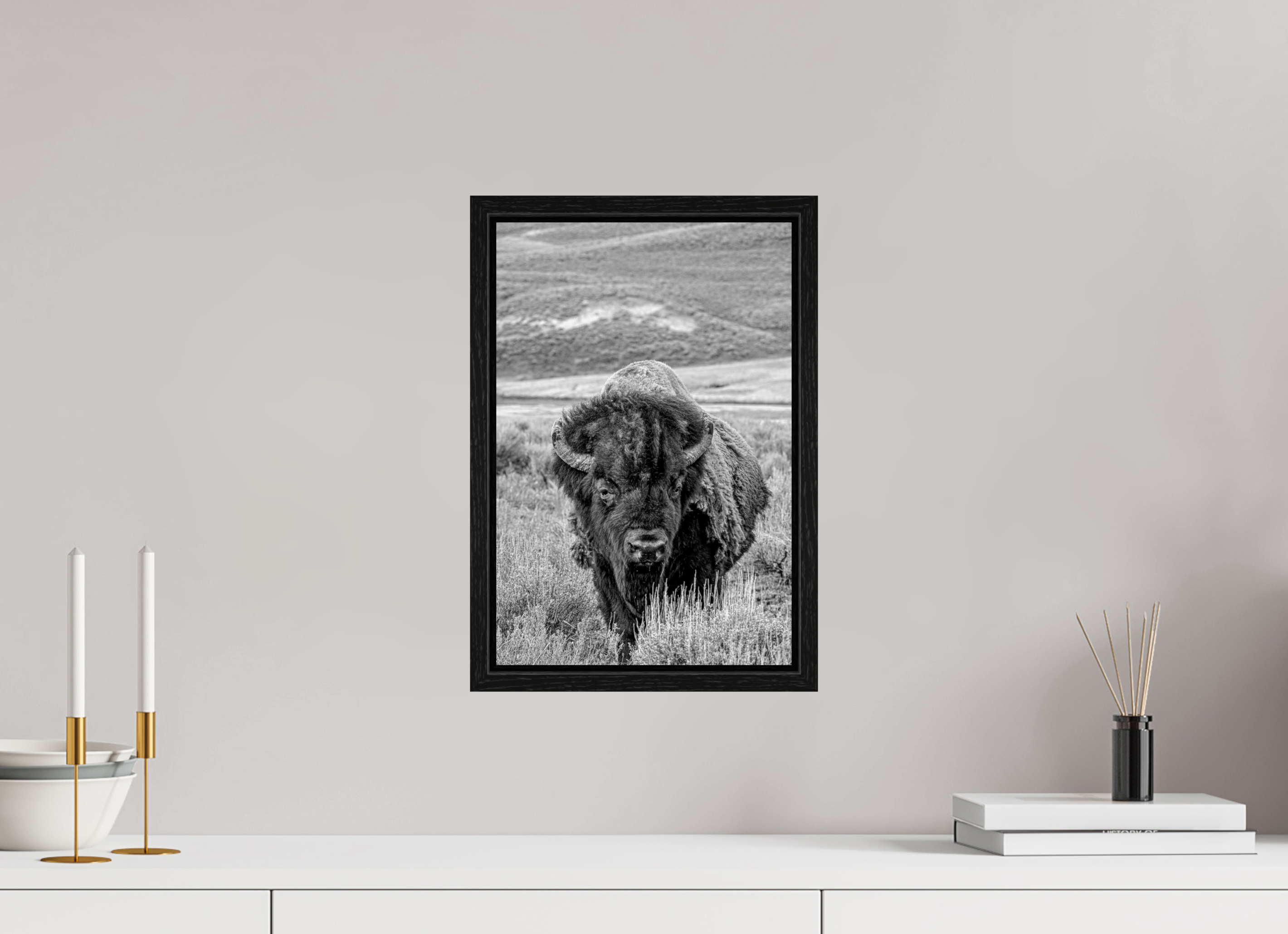 10 x 15″, Floater Frame Black and White Bison Portrait