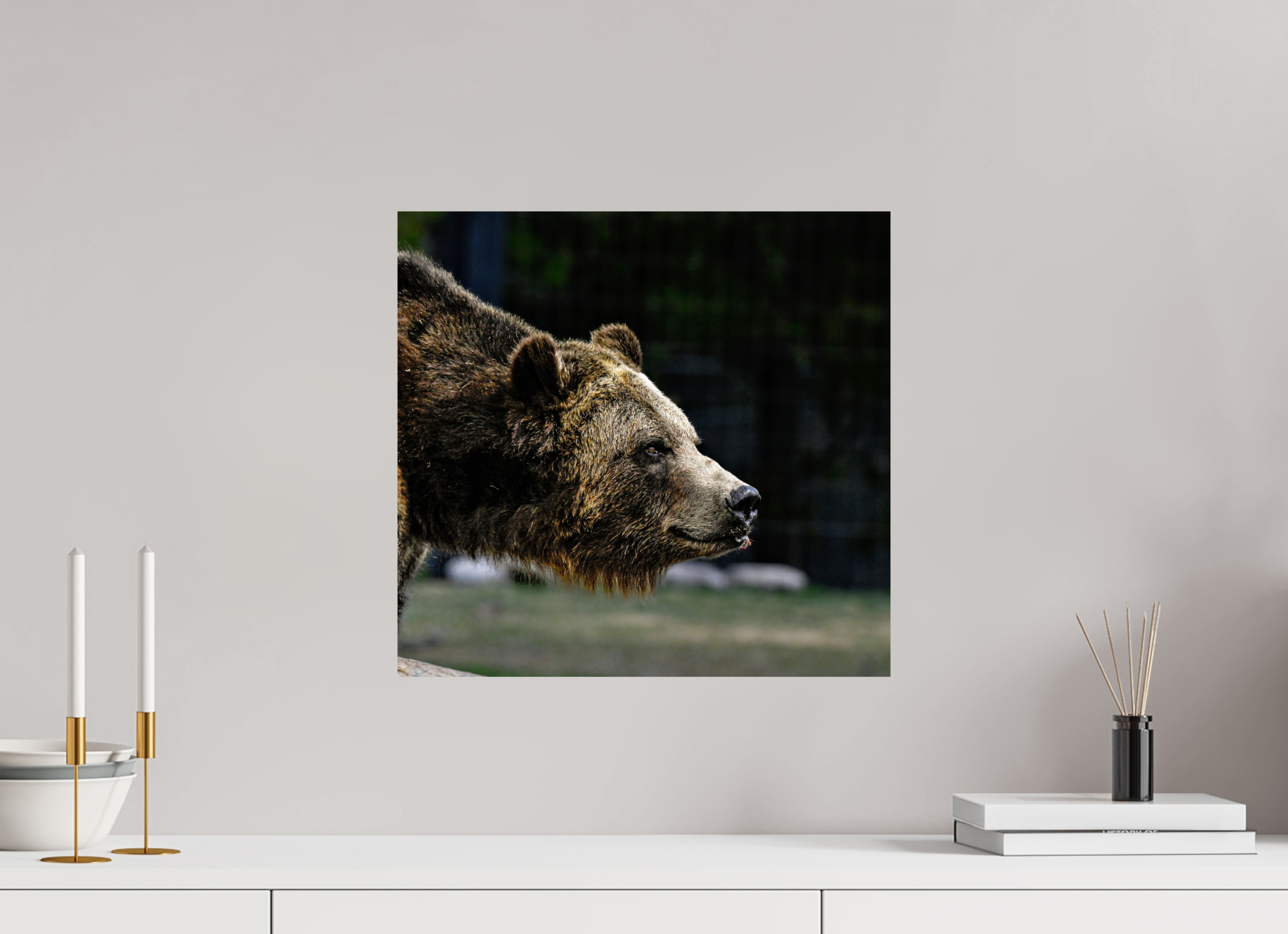 16.9 x 16″, METAL Bear Close Up