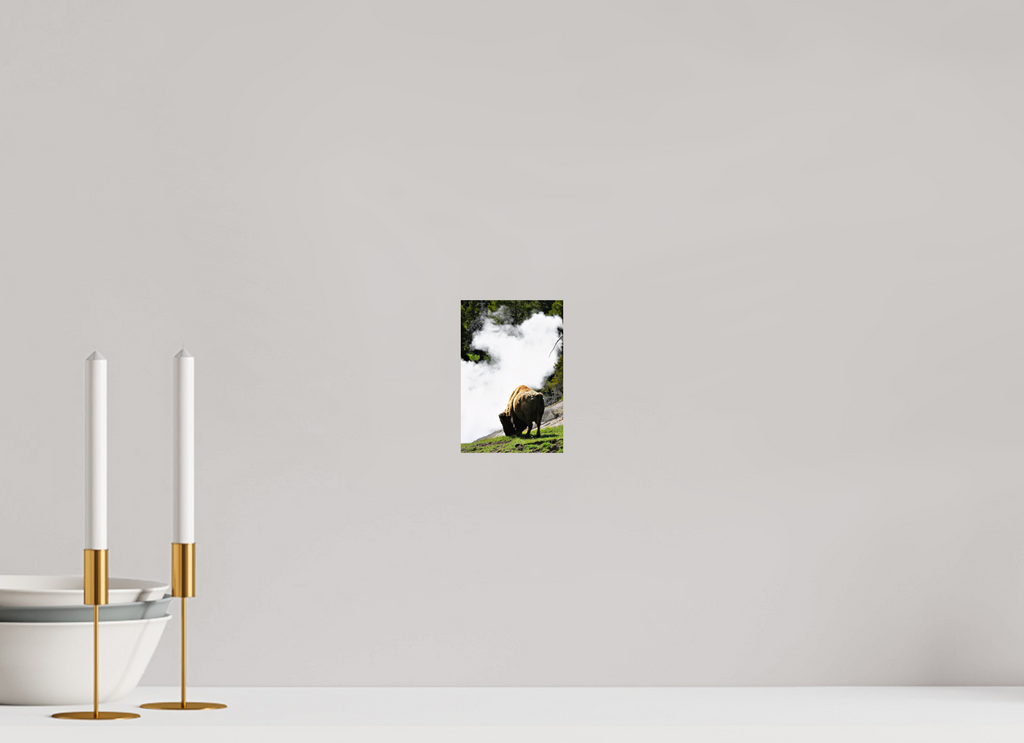 4 x 6″, PHOTO PAPER Bison Grazing